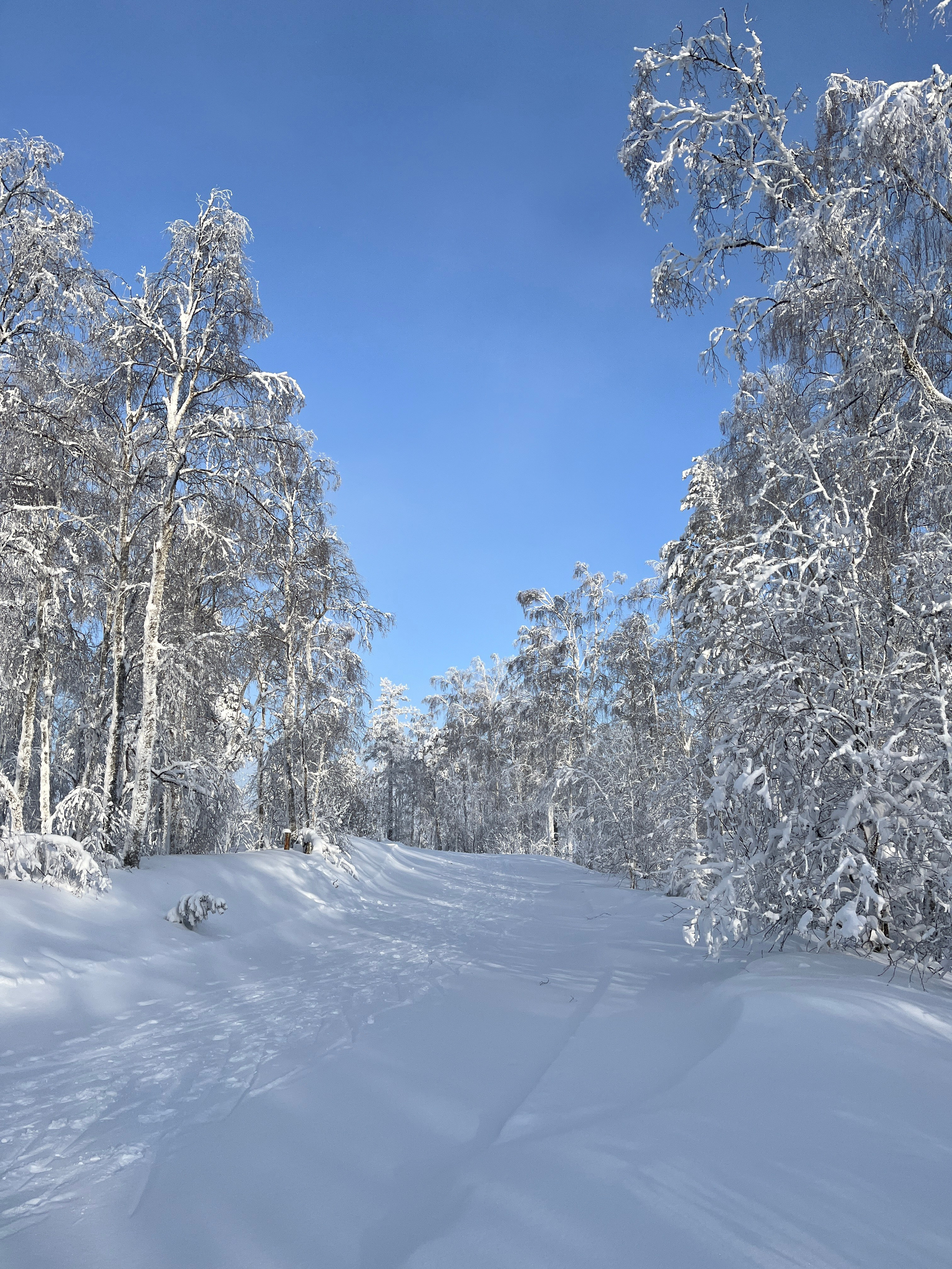 Фото с туров в Завьялиху — Время Приключений