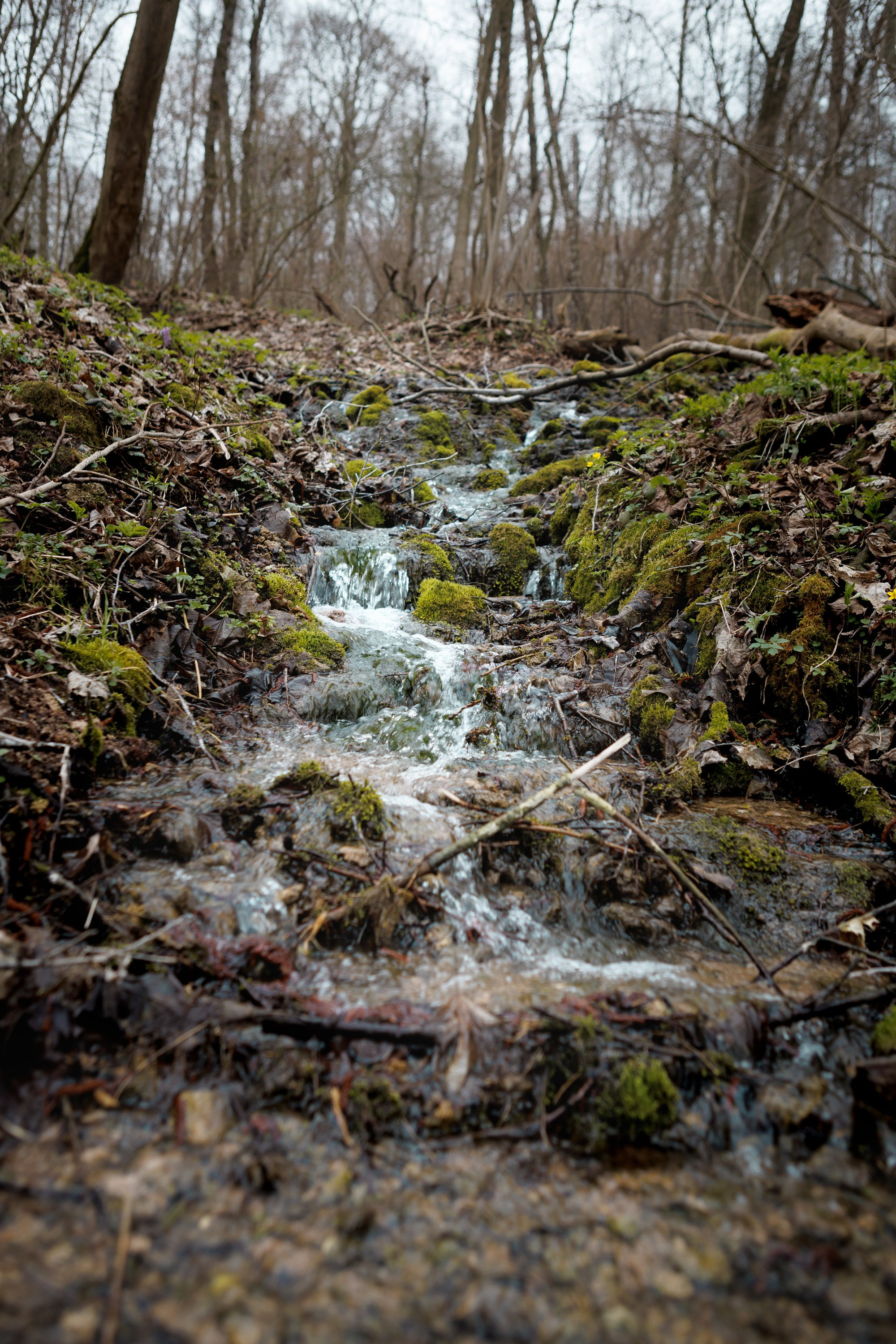 Travel. Индивидуальная и семейная съёмка. Москва, Наталья Самохвалова