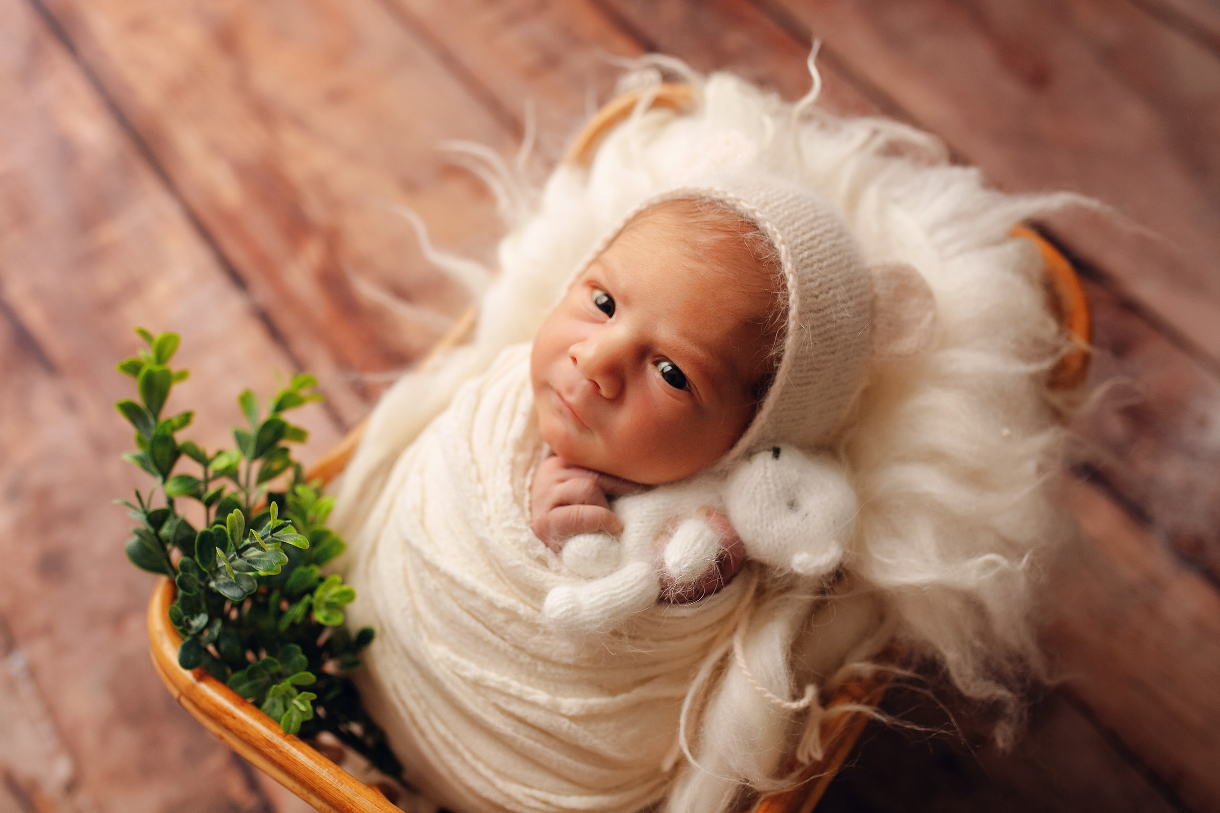 ТИХОН и МИРОН. Фотограф новорожденных Оксана Полевская