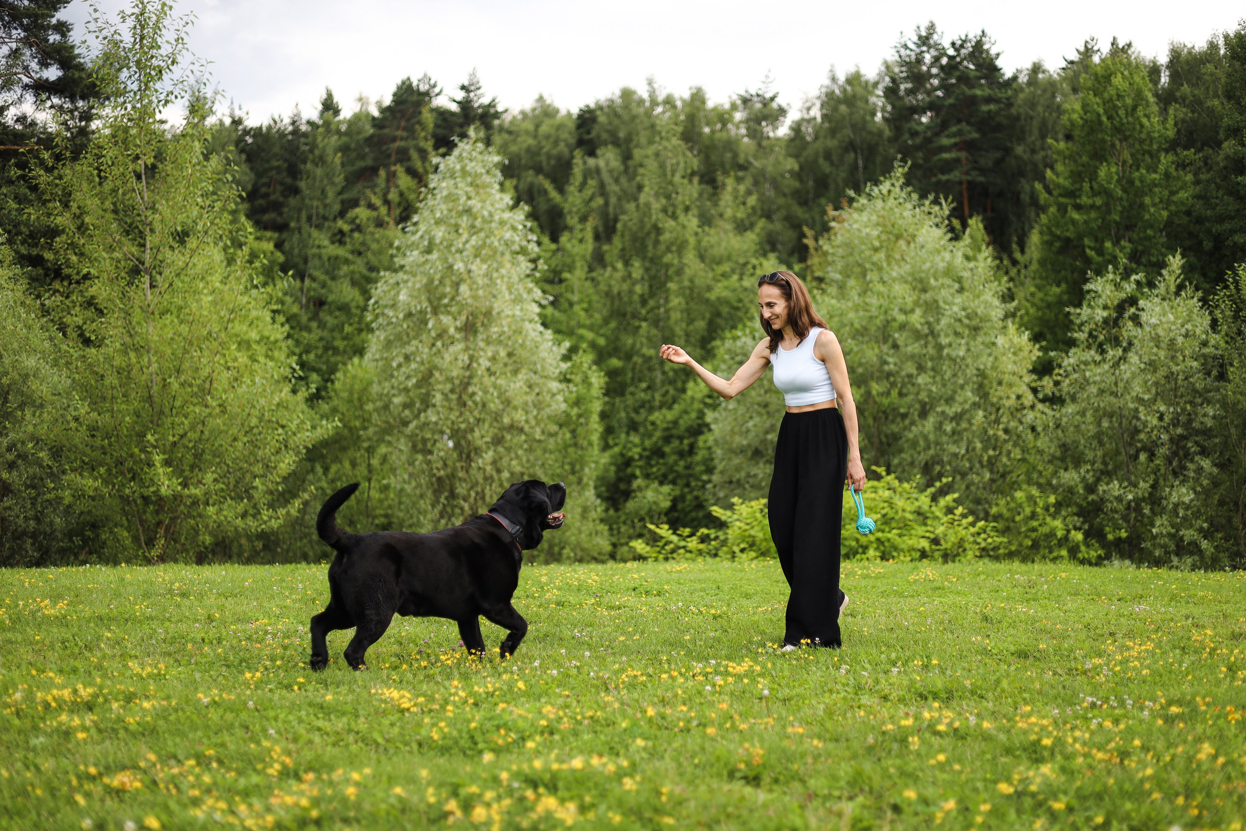Найт и Соня. Фотограф-анималист Ксения Шевцова|Москва