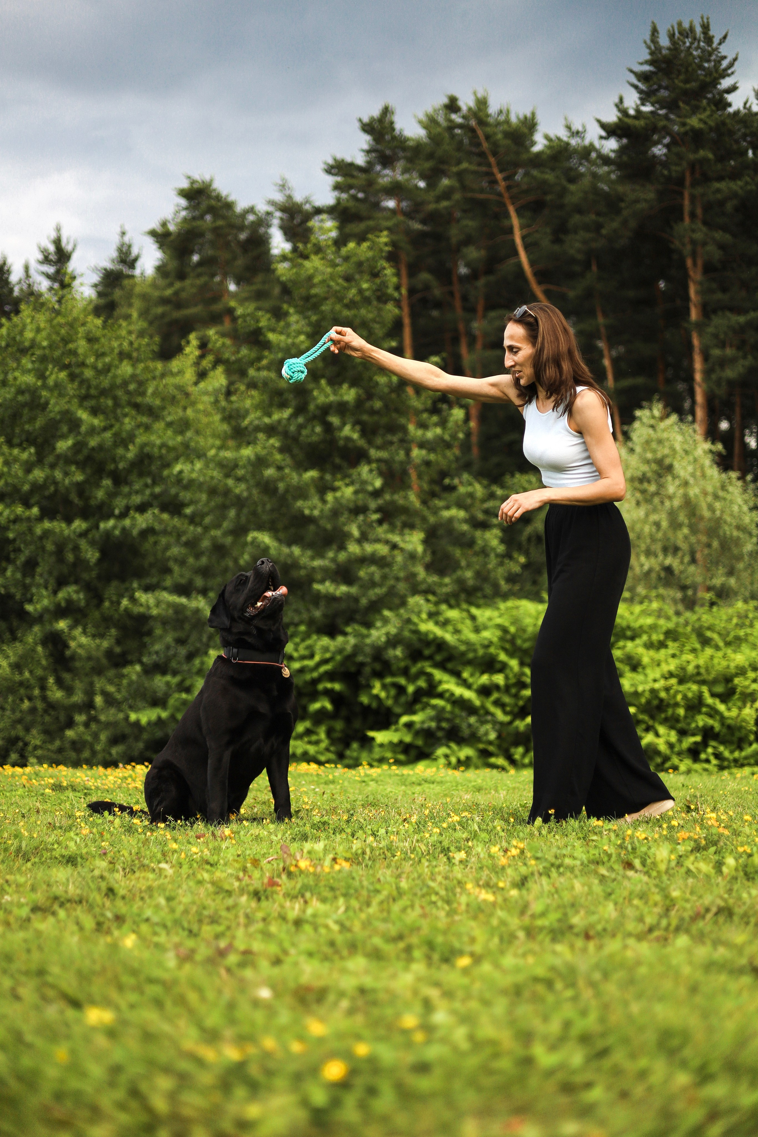Найт и Соня. Фотограф-анималист Ксения Шевцова|Москва