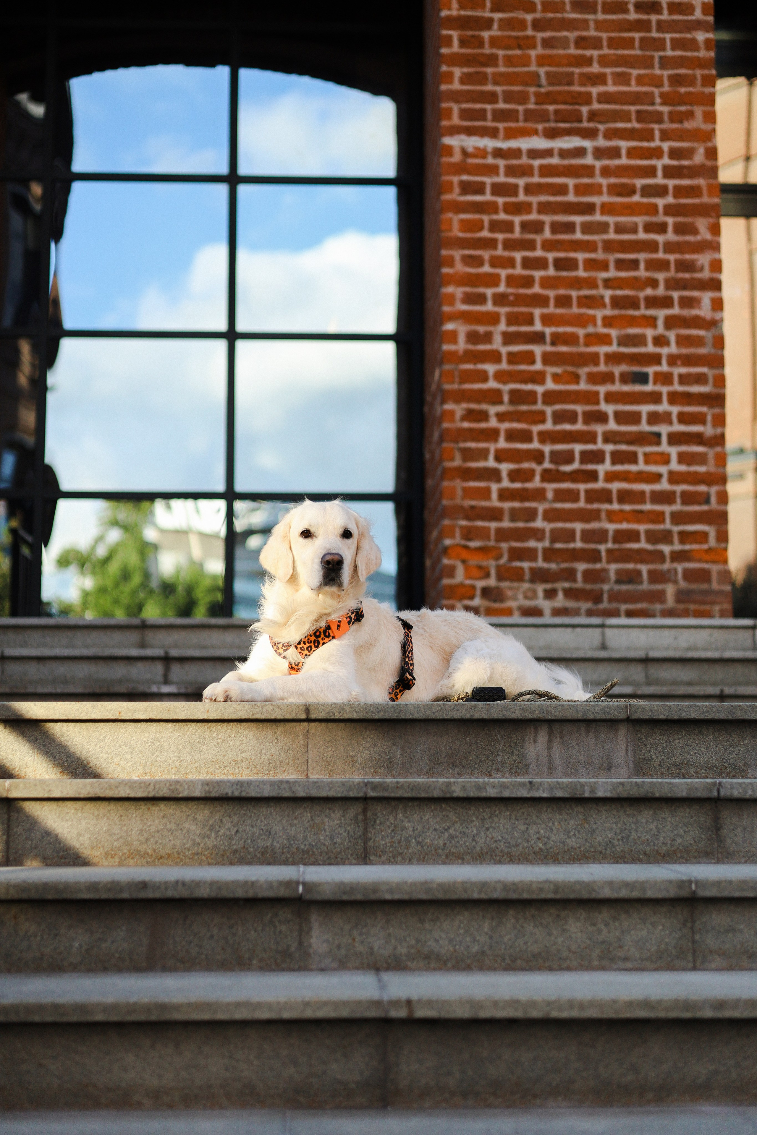 Зиз и Юля. Часть 3. Фотограф-анималист Ксения Шевцова|Москва
