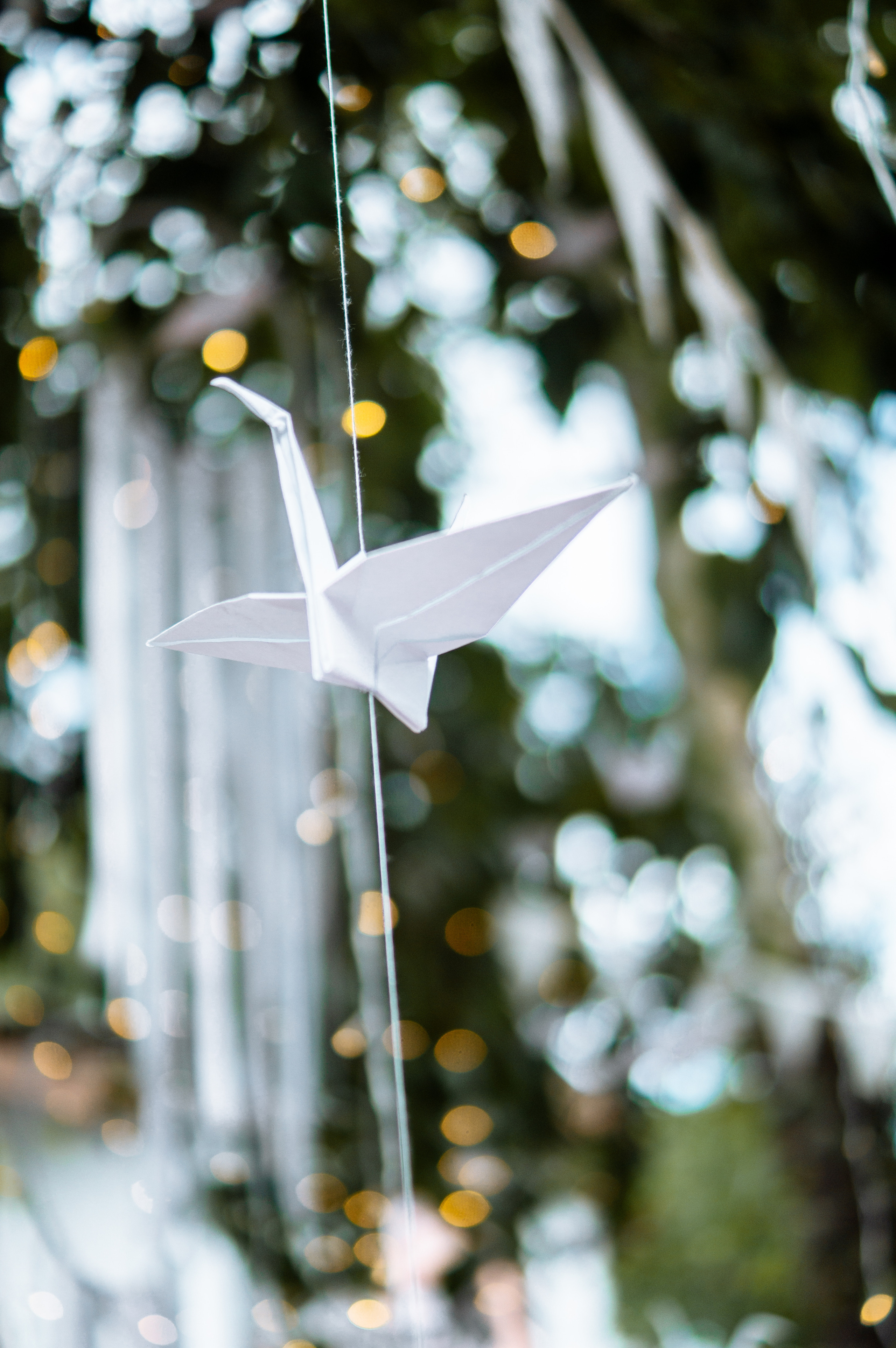 Anya & Lesha — Wedding. Wedding & portrait photographer Sergey Lazarenko