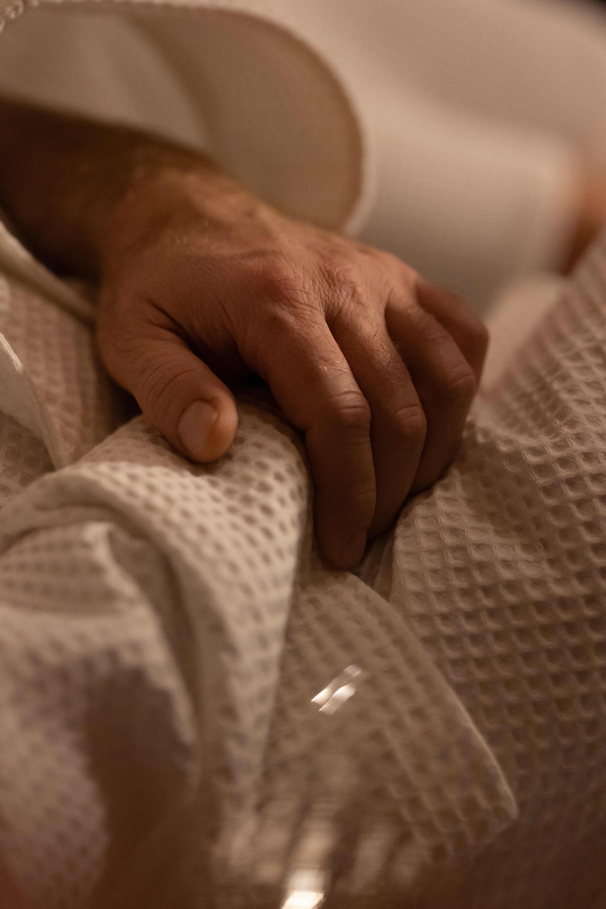 Открытие бани «Добро Севера». ФОТО ВИДЕО ПРОДАКШН Санкт-Петербург Москва фотограф Мария Хрусталева