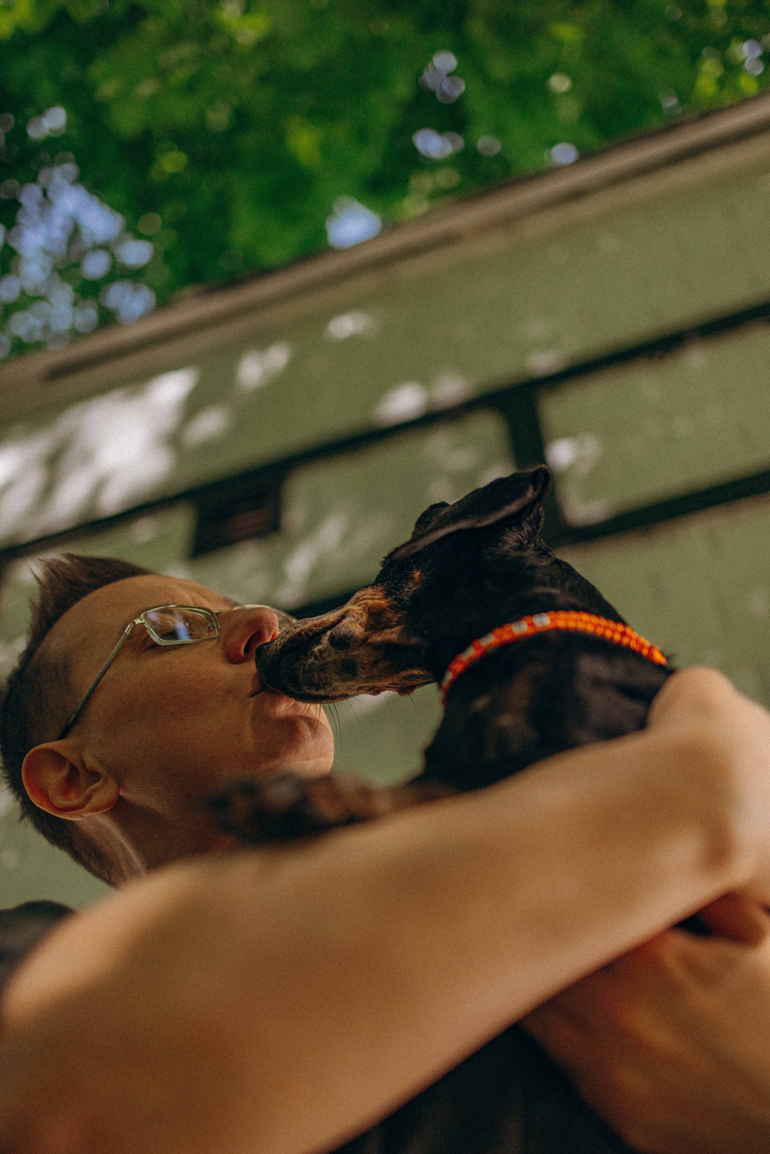 Наталья, Марфа и Норд. Фотограф-анималист в Москве Лера Черноног