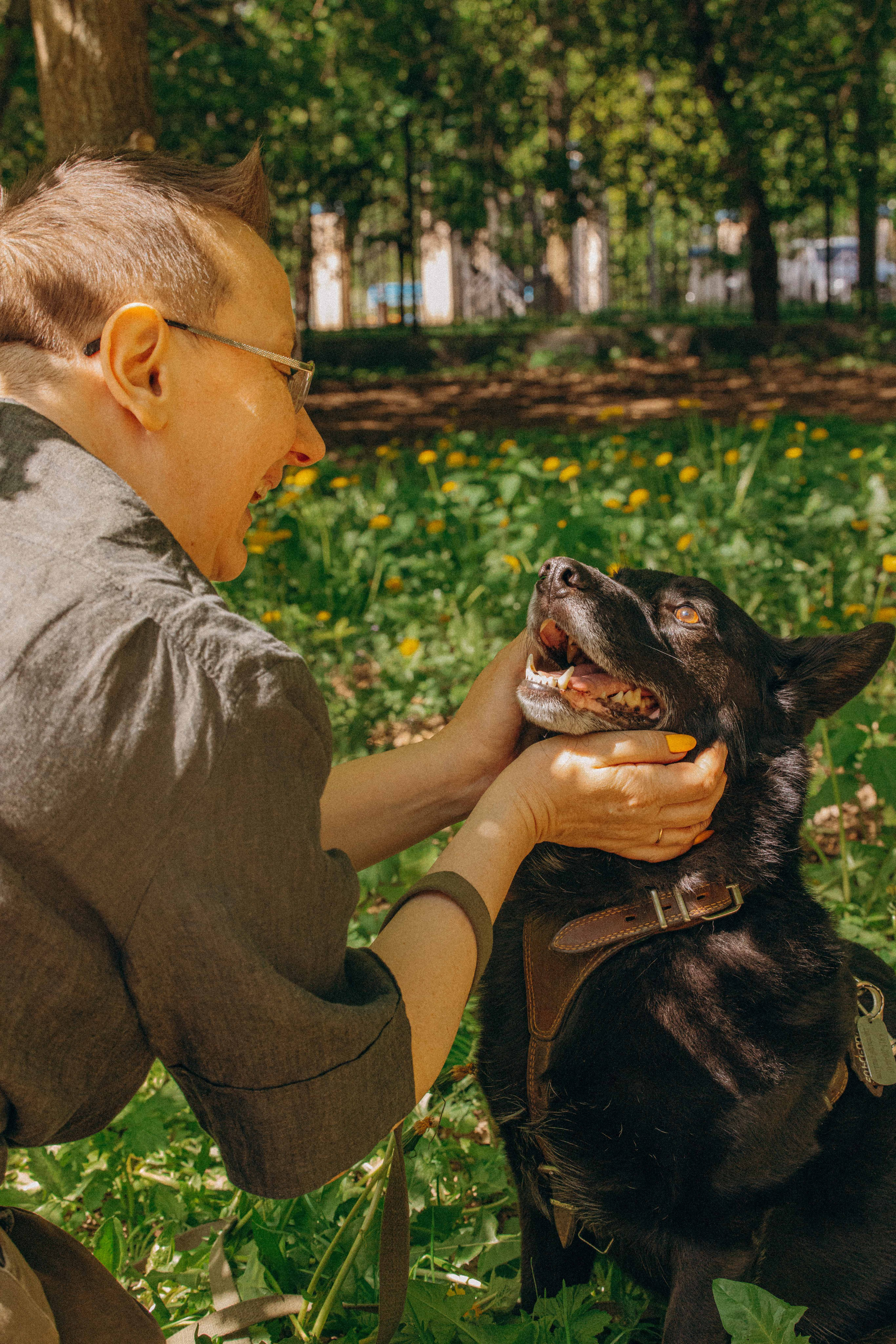 Наталья, Марфа и Норд. Фотограф-анималист в Москве Лера Черноног