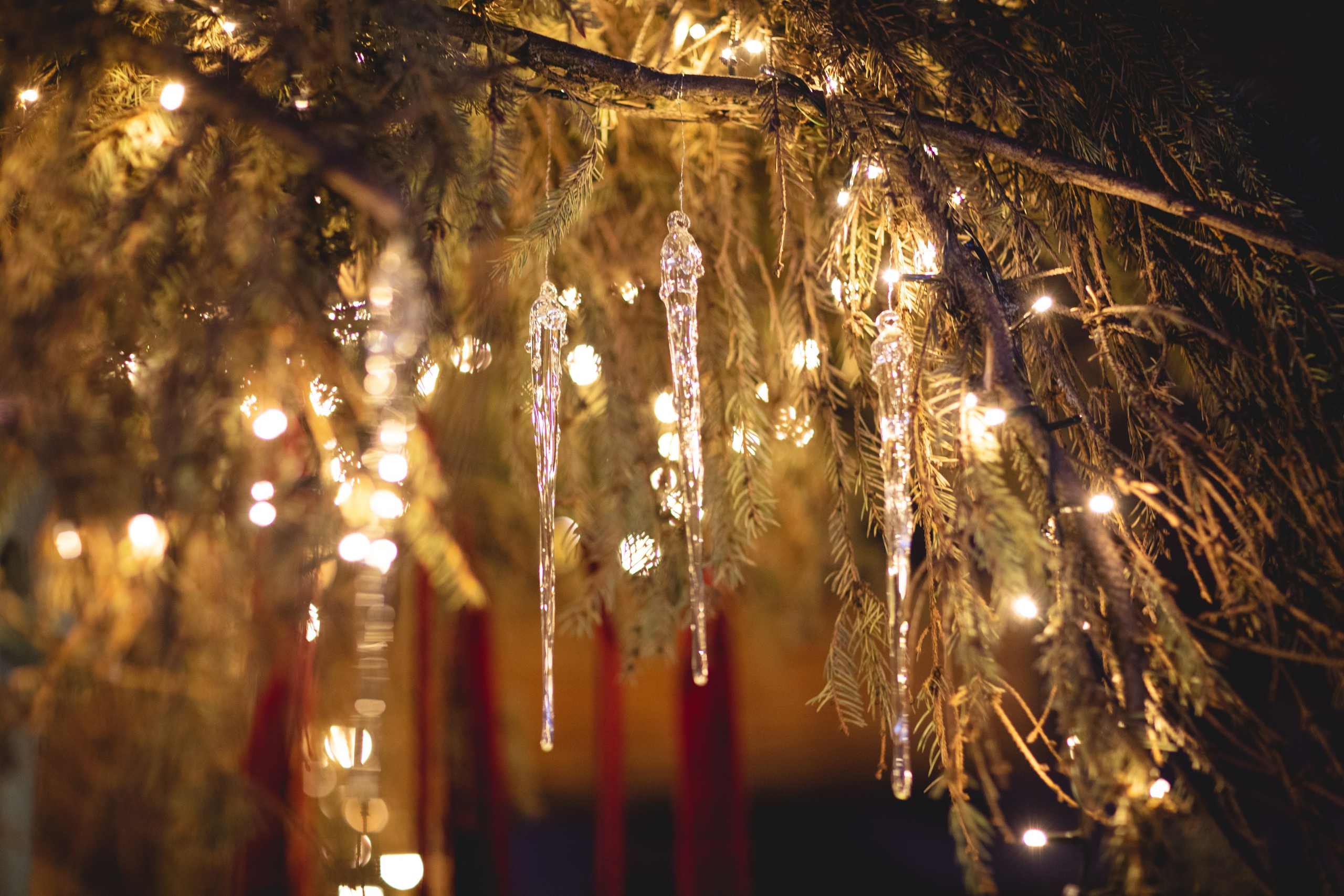 Домик в лесу. Семейный фотограф в Москве Анастасия Гурьянова