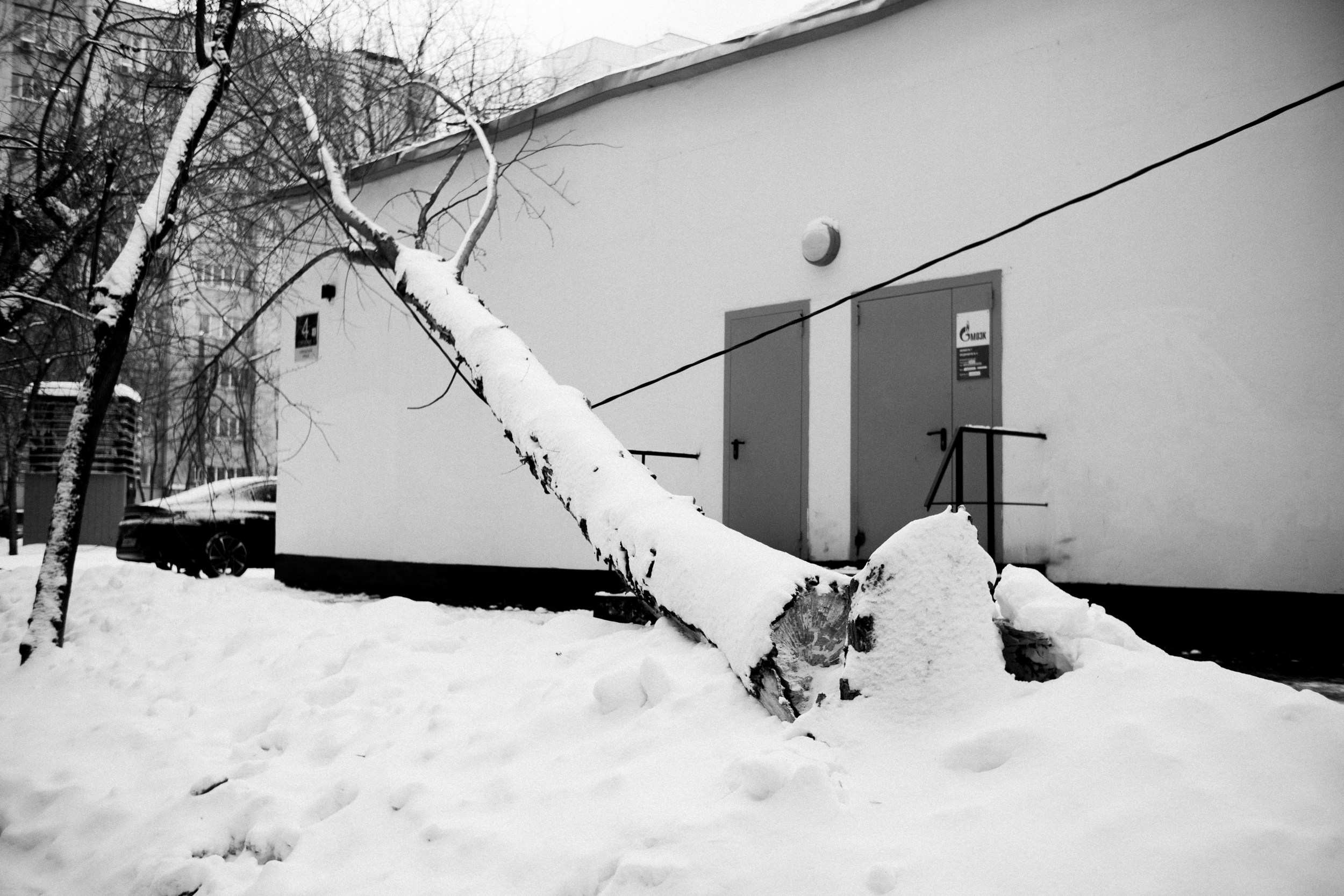 Моменты. Photographer Pavel Romashchenko