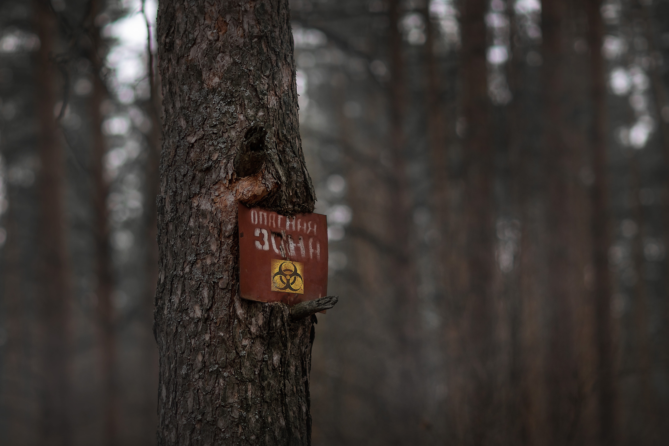 ТЕМАТИЧЕСКИЕ. Фотограф Юлия Бусыгина