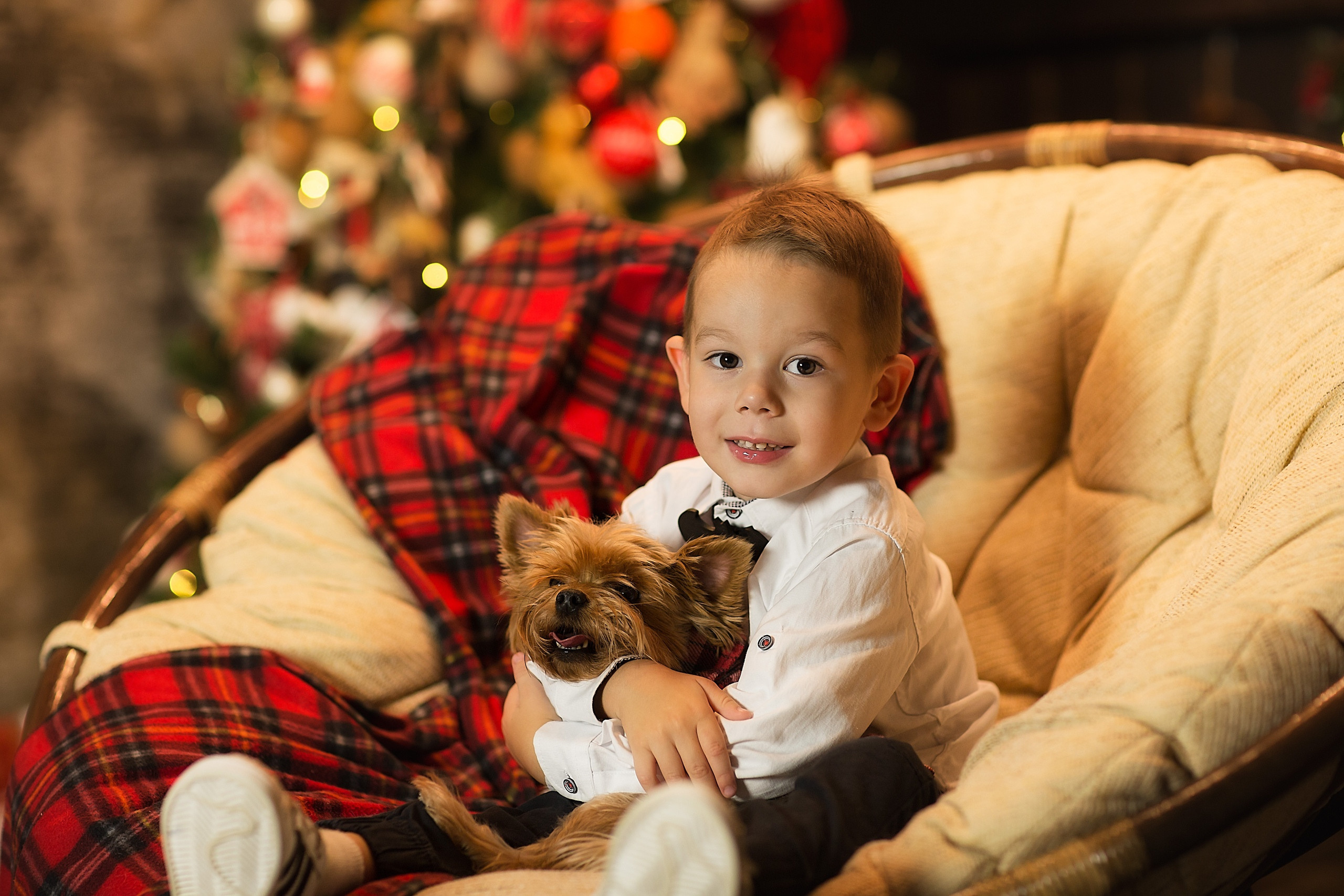 НОВОГОДНИЕ. Фотограф Юлия Бусыгина