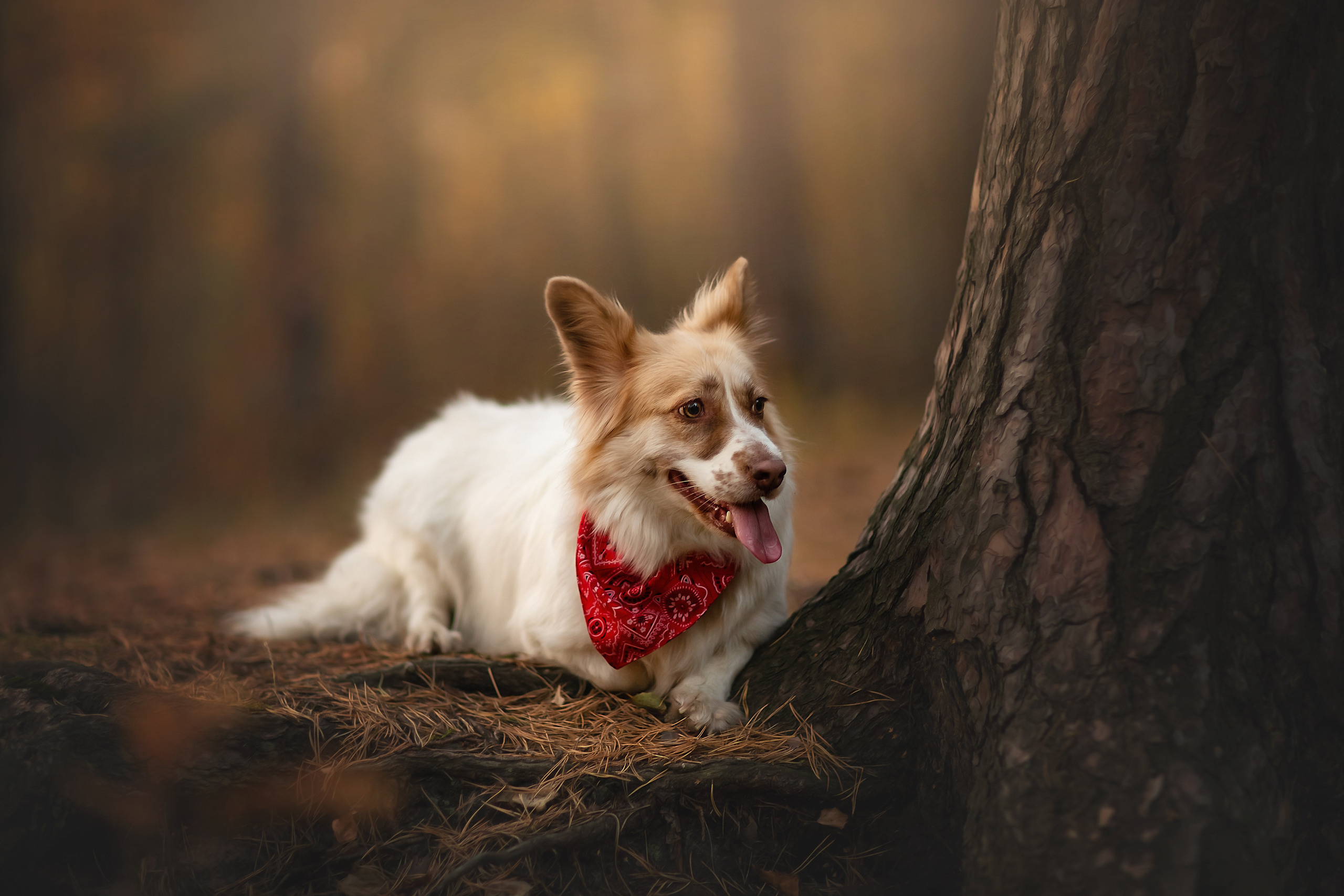 ИНДИВИДУАЛЬНЫЕ. Фотограф Юлия Бусыгина