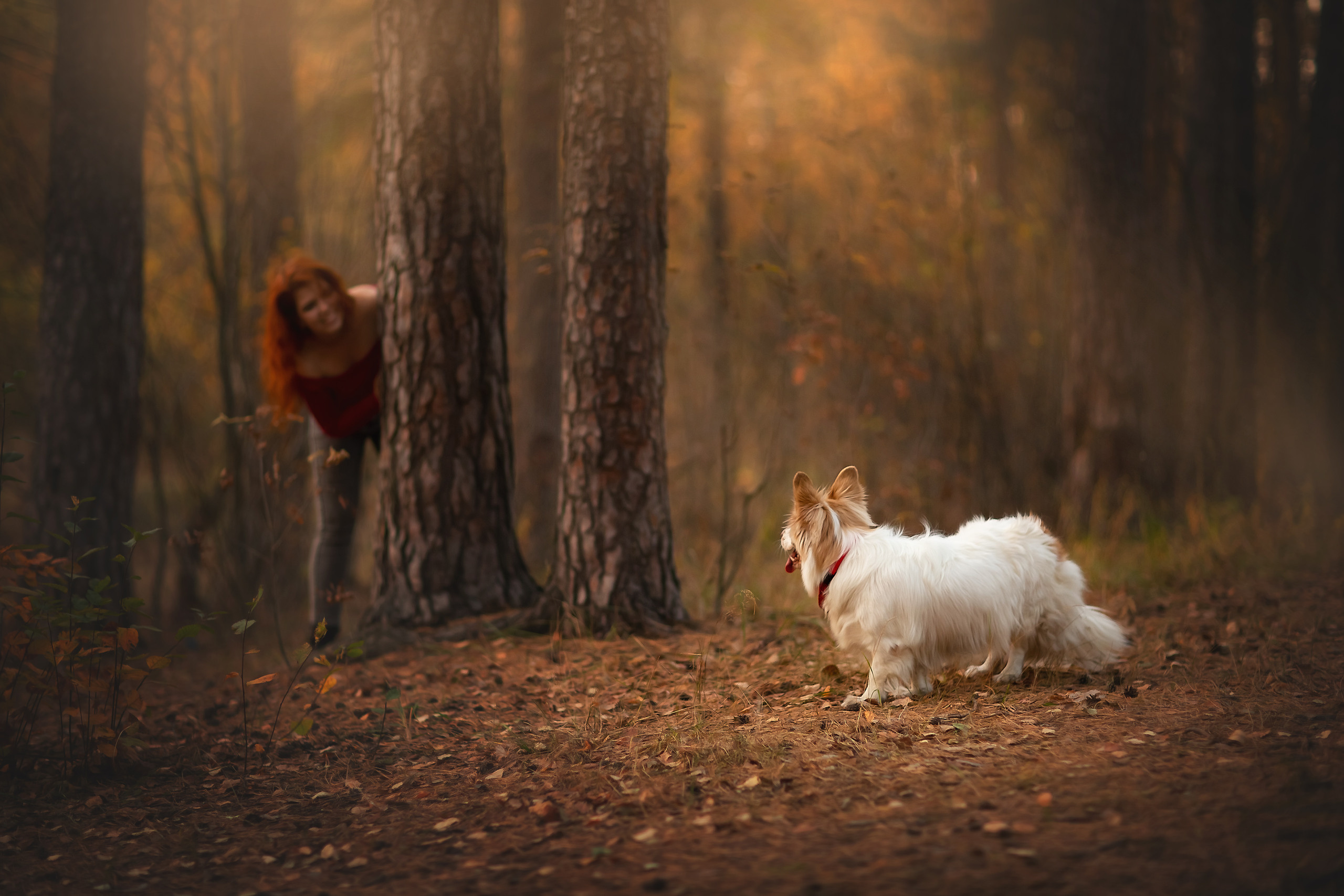 ИНДИВИДУАЛЬНЫЕ. Фотограф Юлия Бусыгина