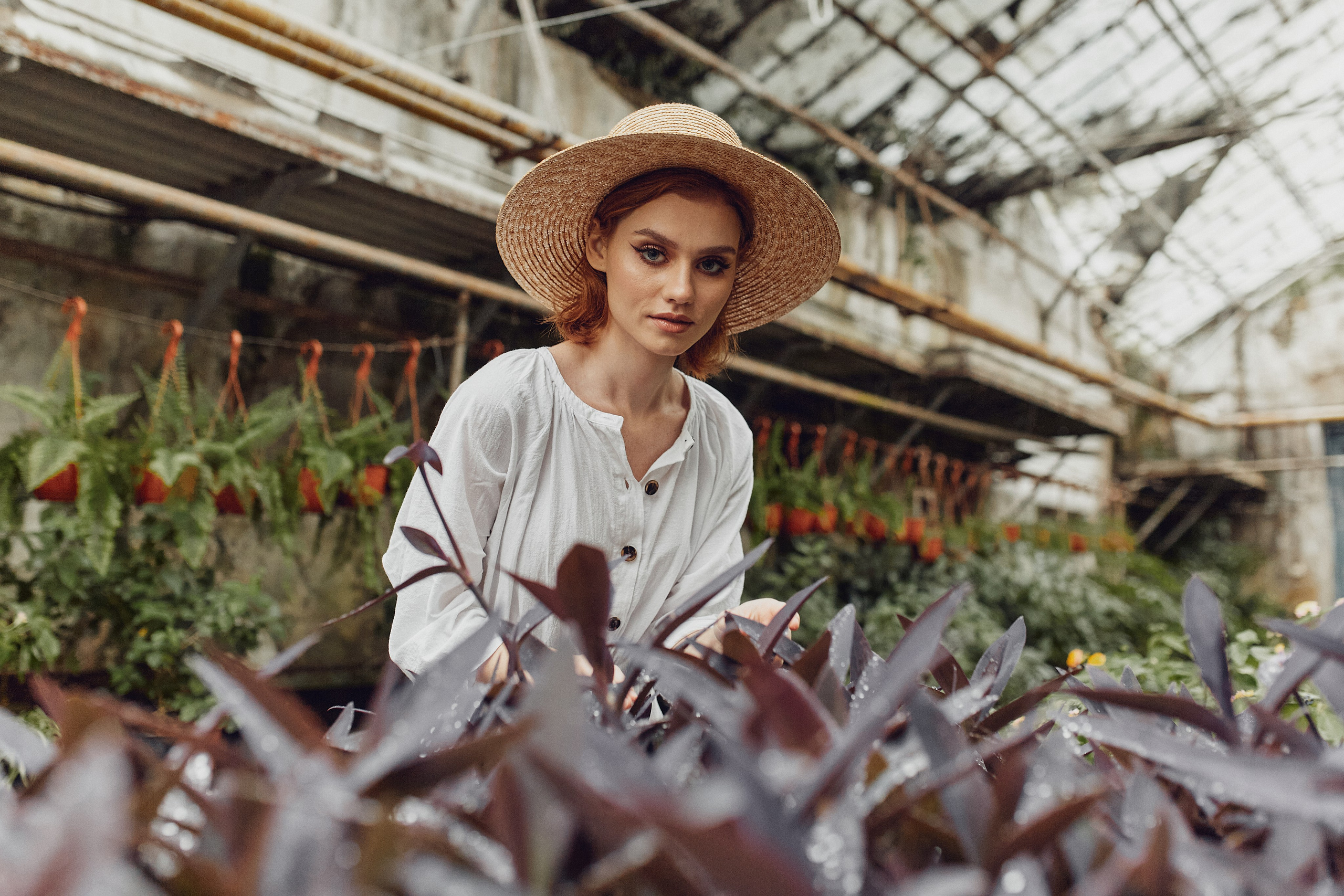 Старая оранжерея