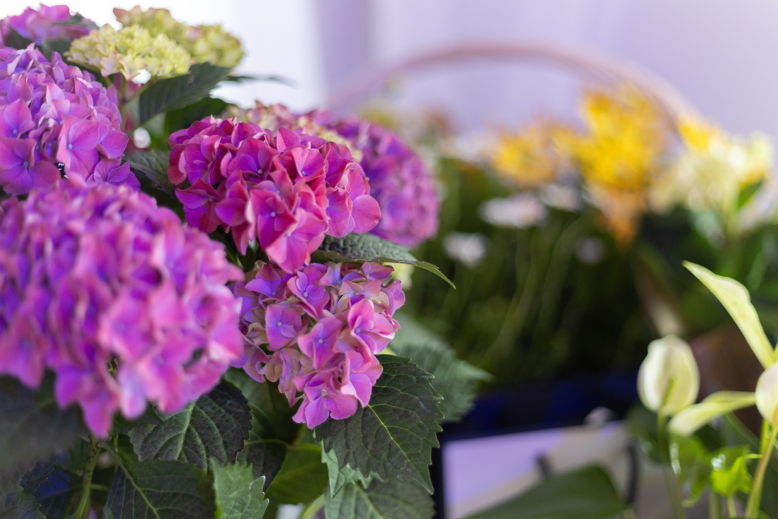 Годовщина свадьбы. Документальный фотограф