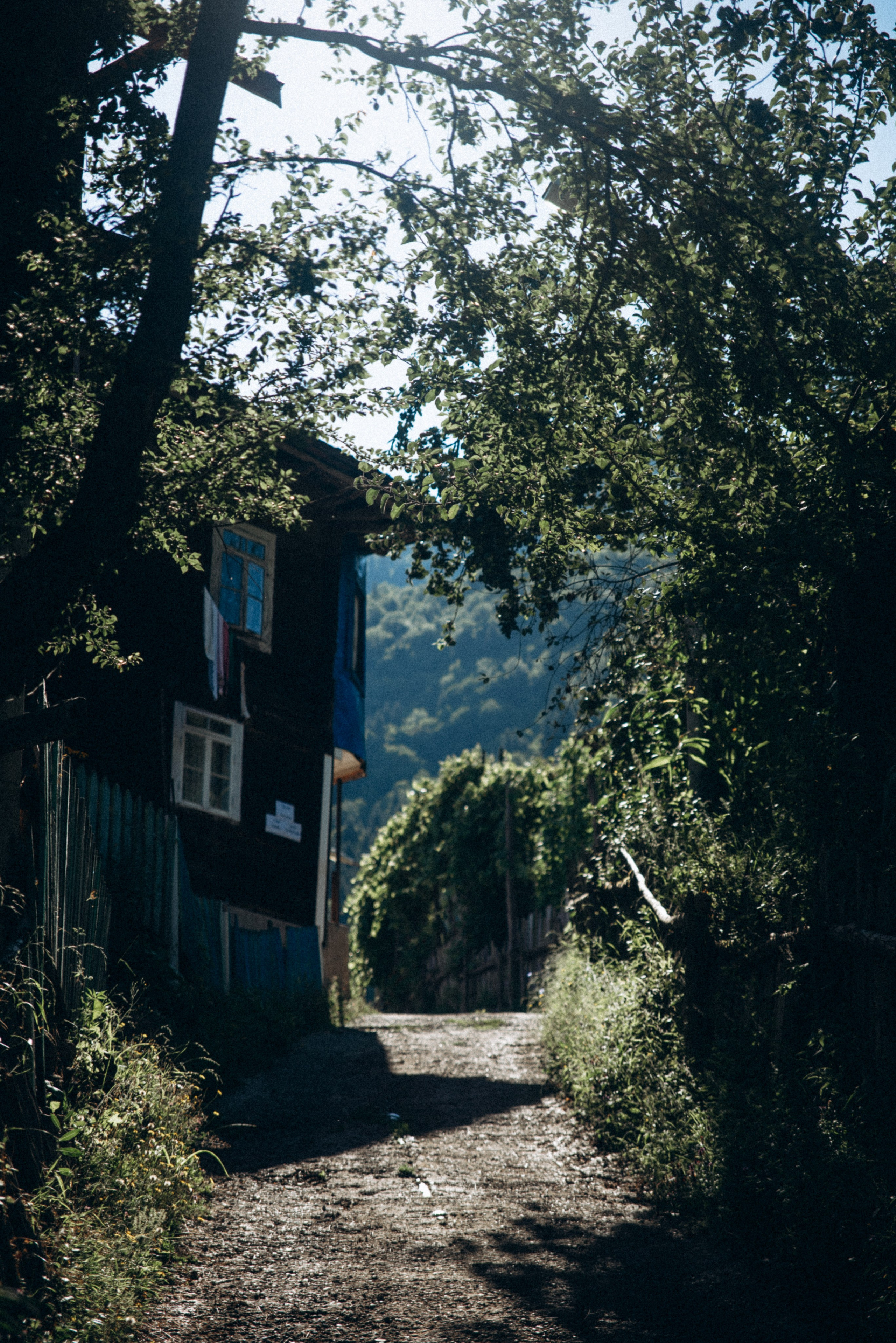 Верхняя Аджария, Грузия 🇬🇪. Anita_photo