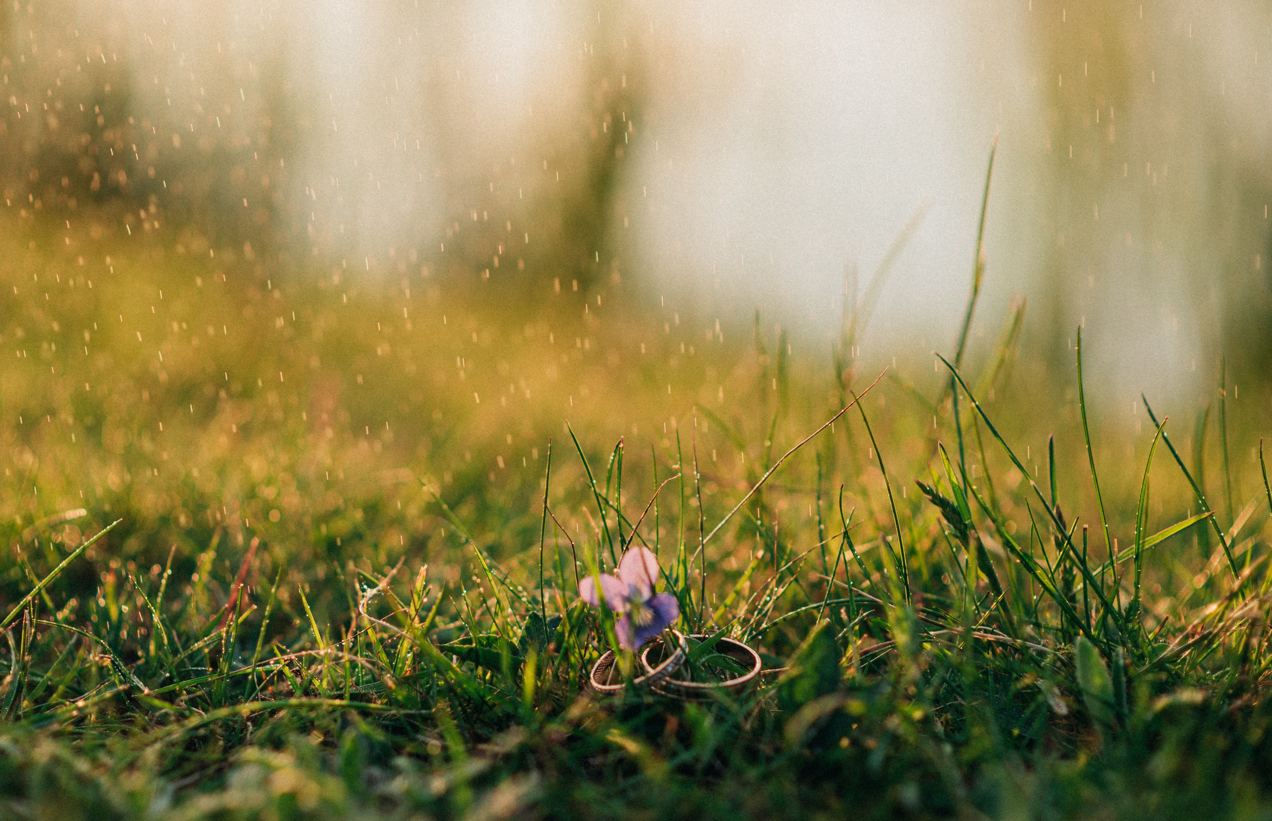 Свадьбы. Свадебный и портретный фотограф Диана Першай