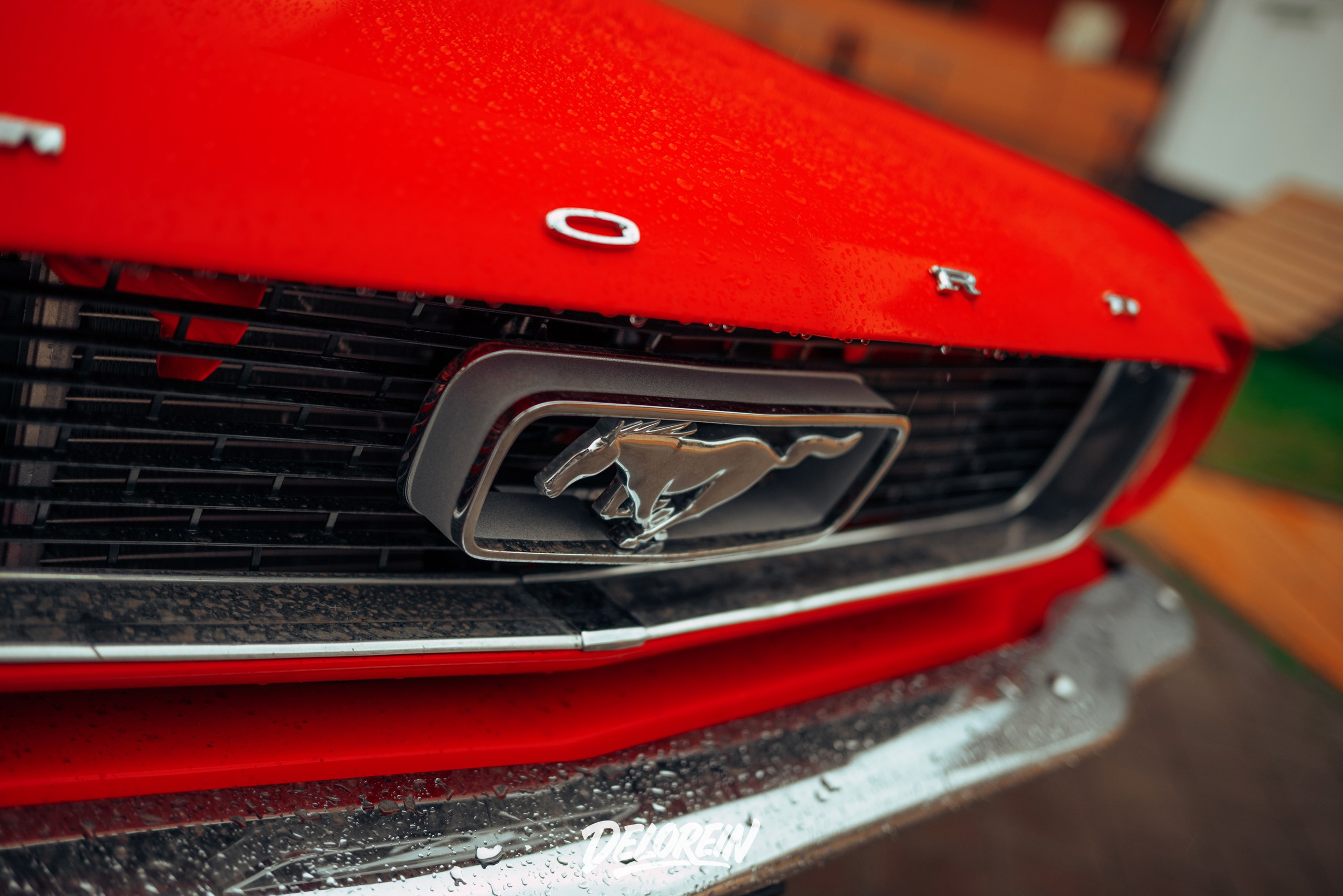 CIAY meet 27 сентября 2025. DeLorein