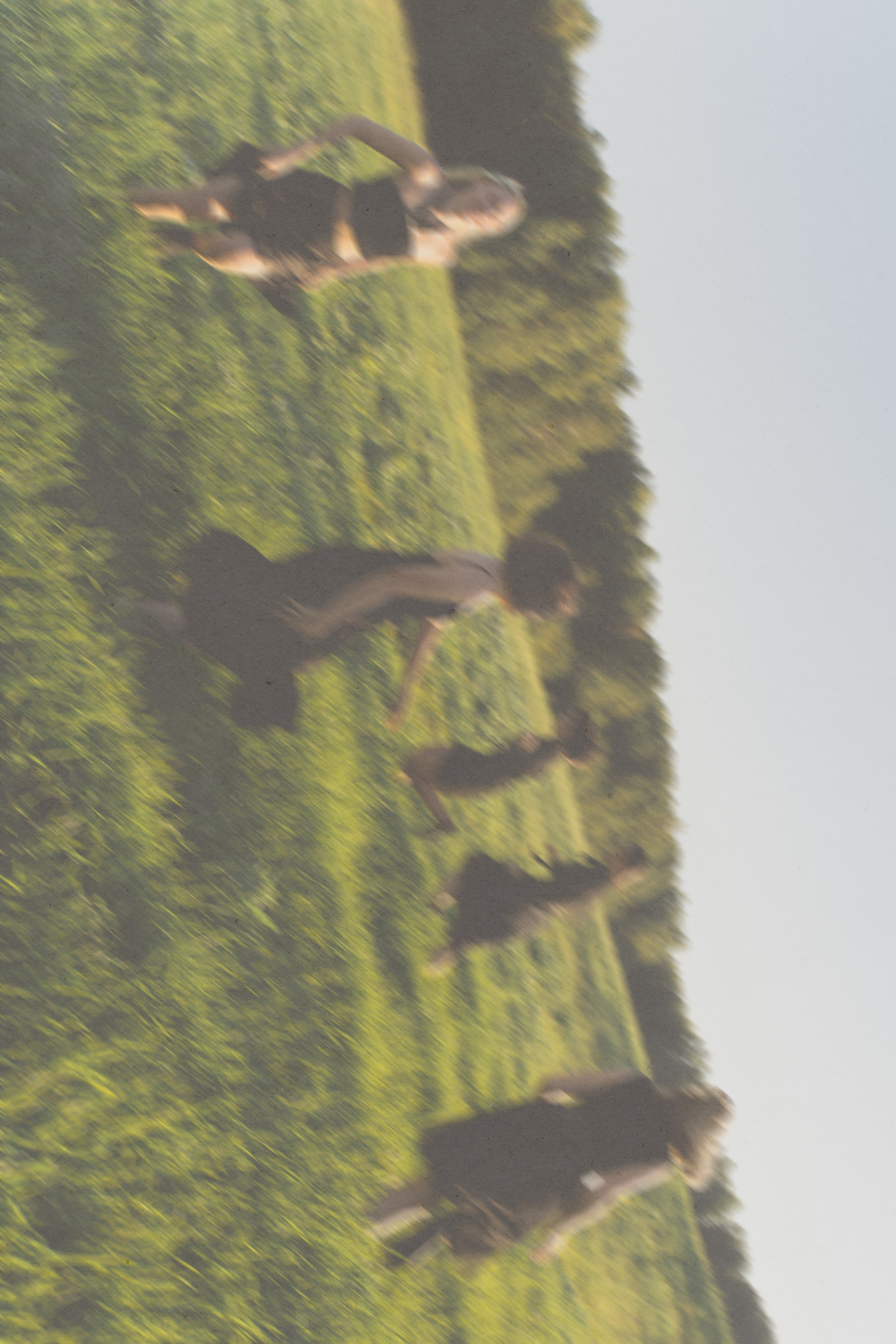 Фотографии. Фотограф Иркутск