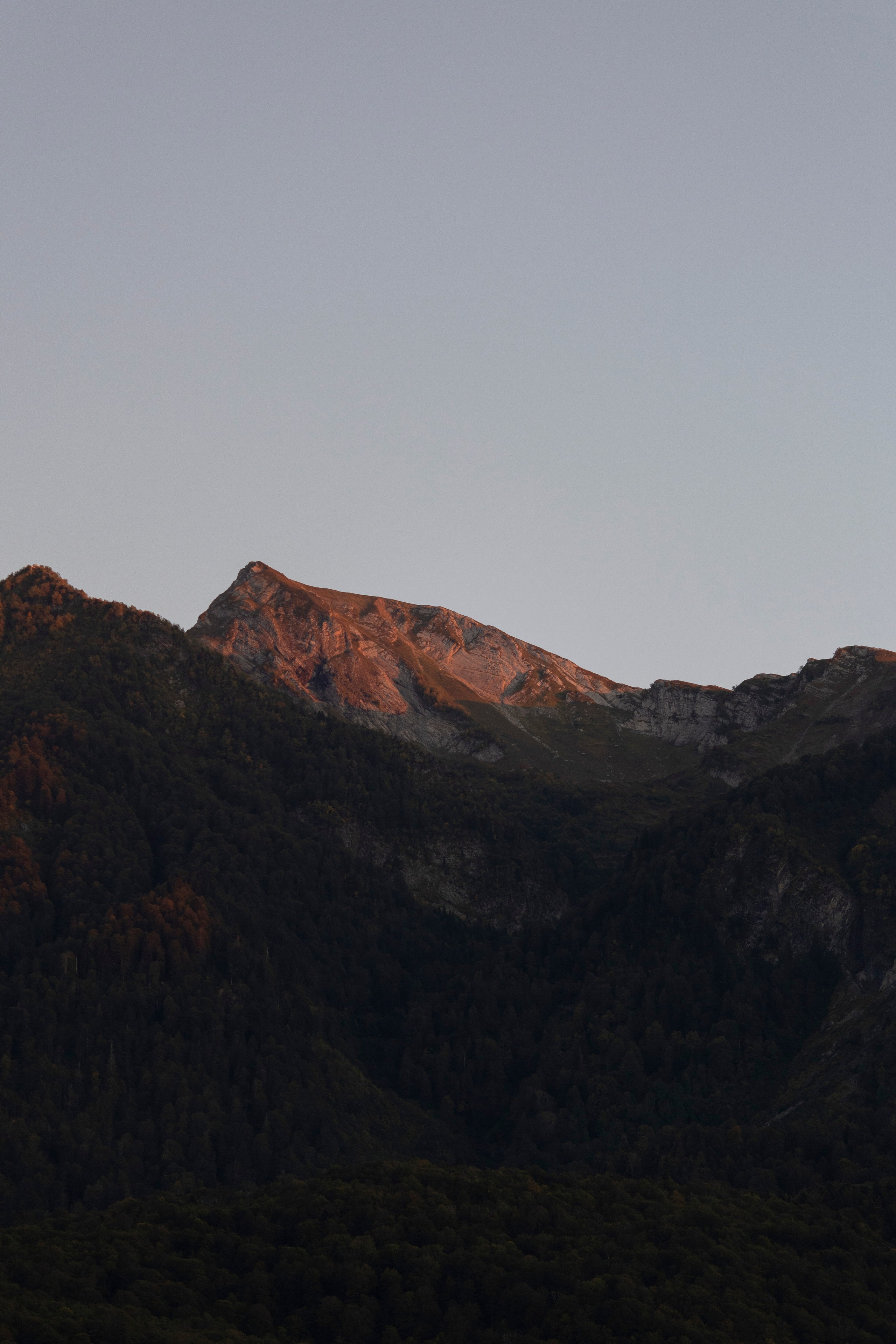 This: Is my love Фотограф Снежана Магрин. Свадебный фотограф Сочи Москва Дубай Снежана Магрин