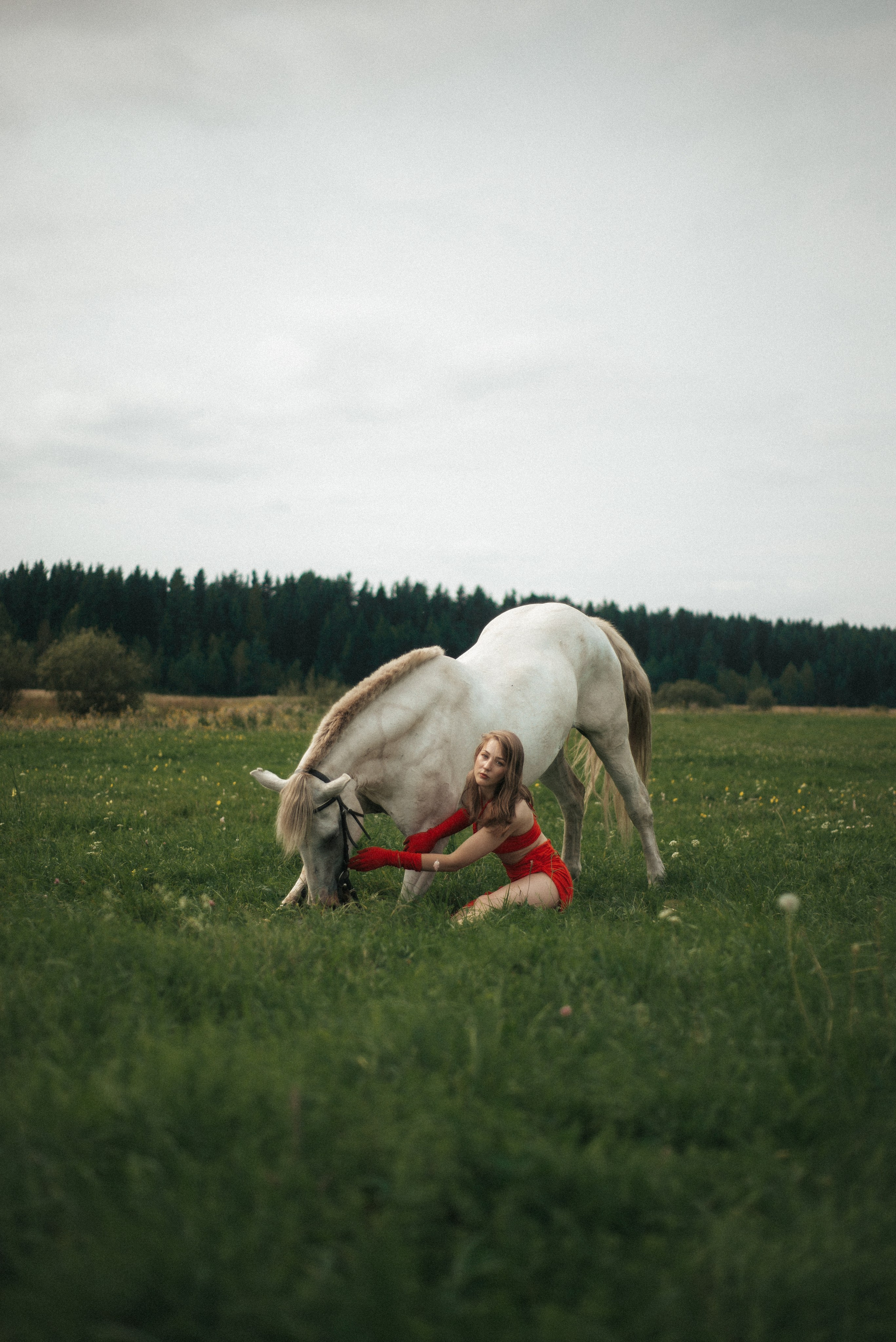 Horse. Фотограф
