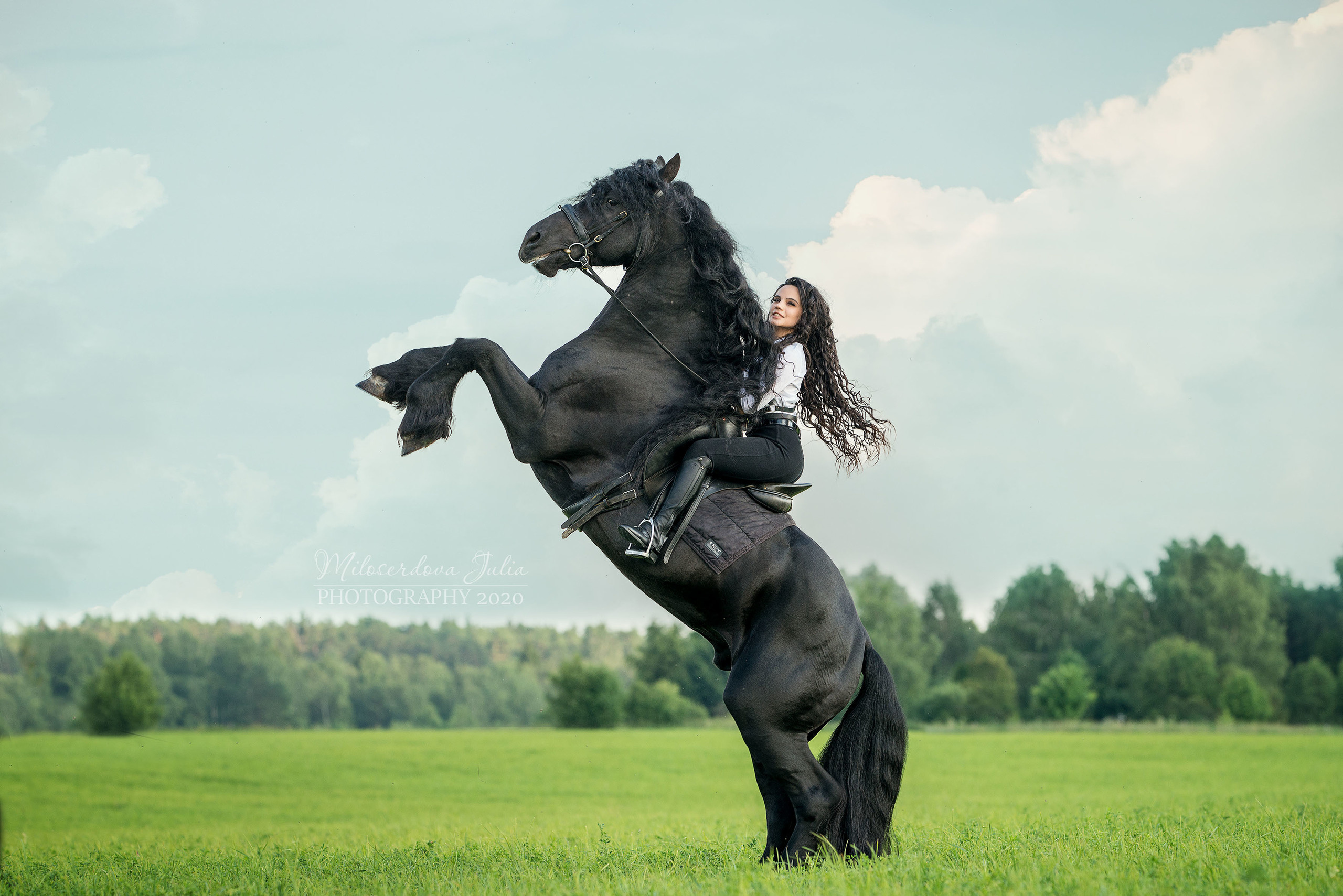 Фотосессии с лошадьми. Фотограф Юлия Милосердова