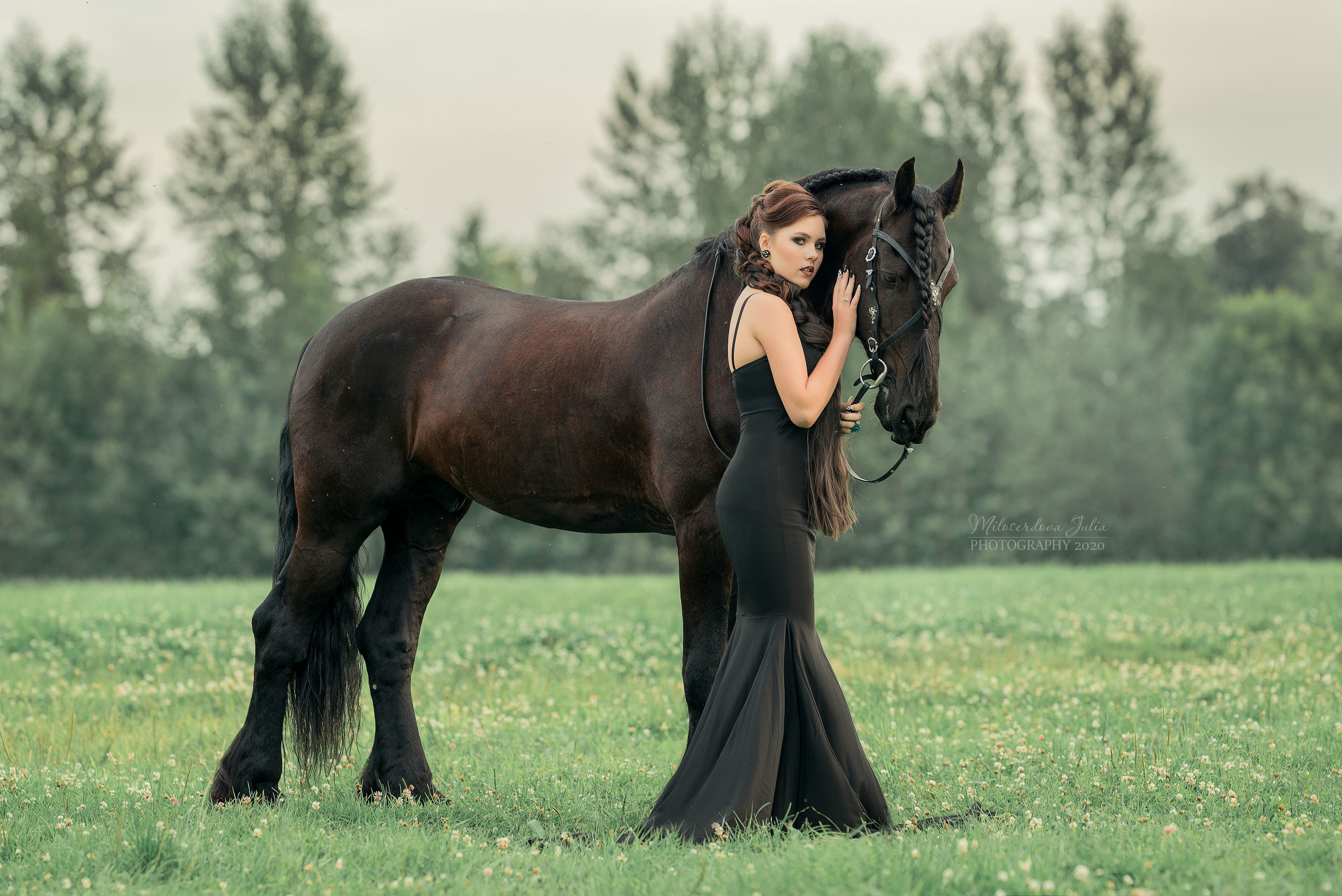 Фотосессии с лошадьми. Фотограф Юлия Милосердова