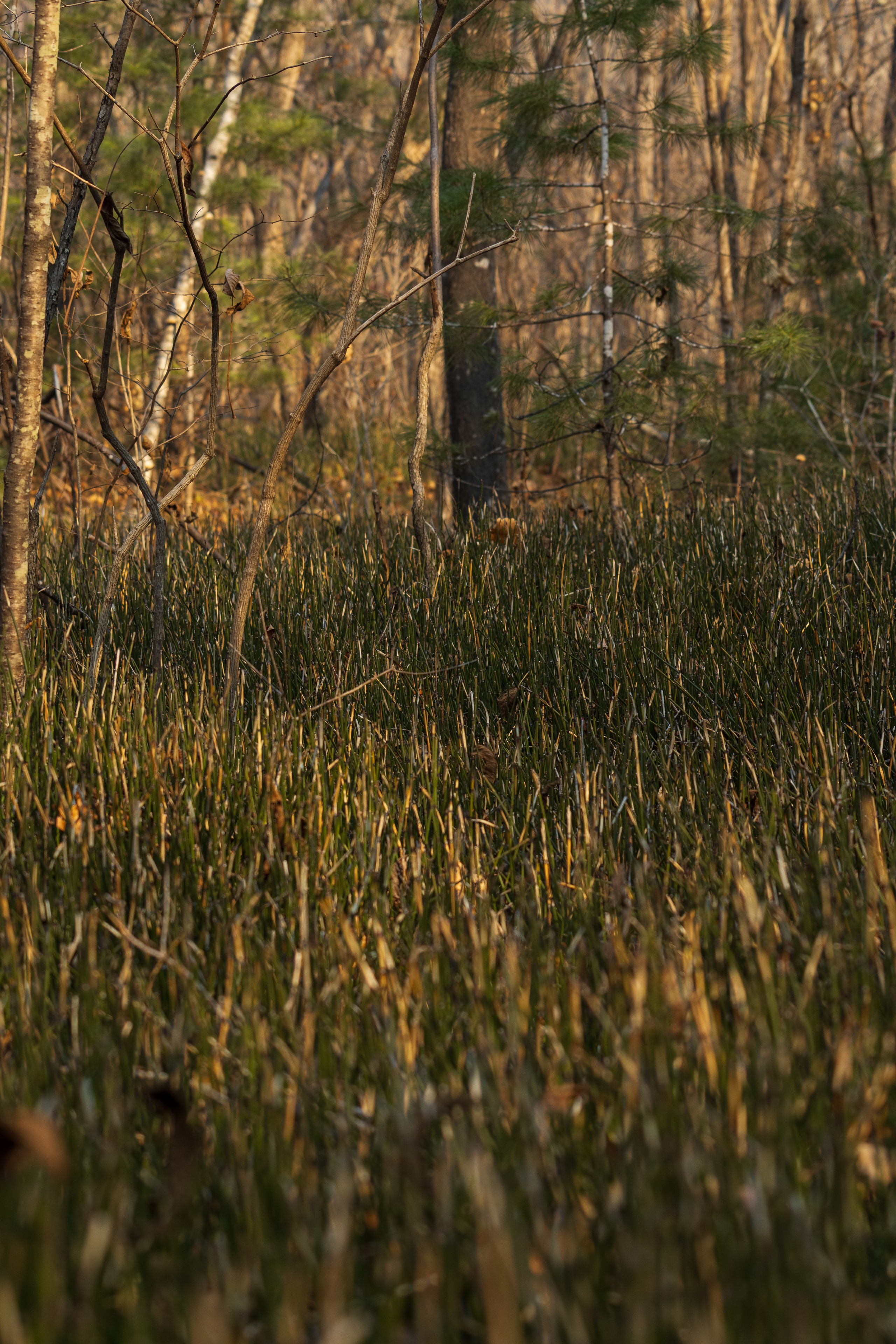 Маруськины слёзы. Константин Кириченко