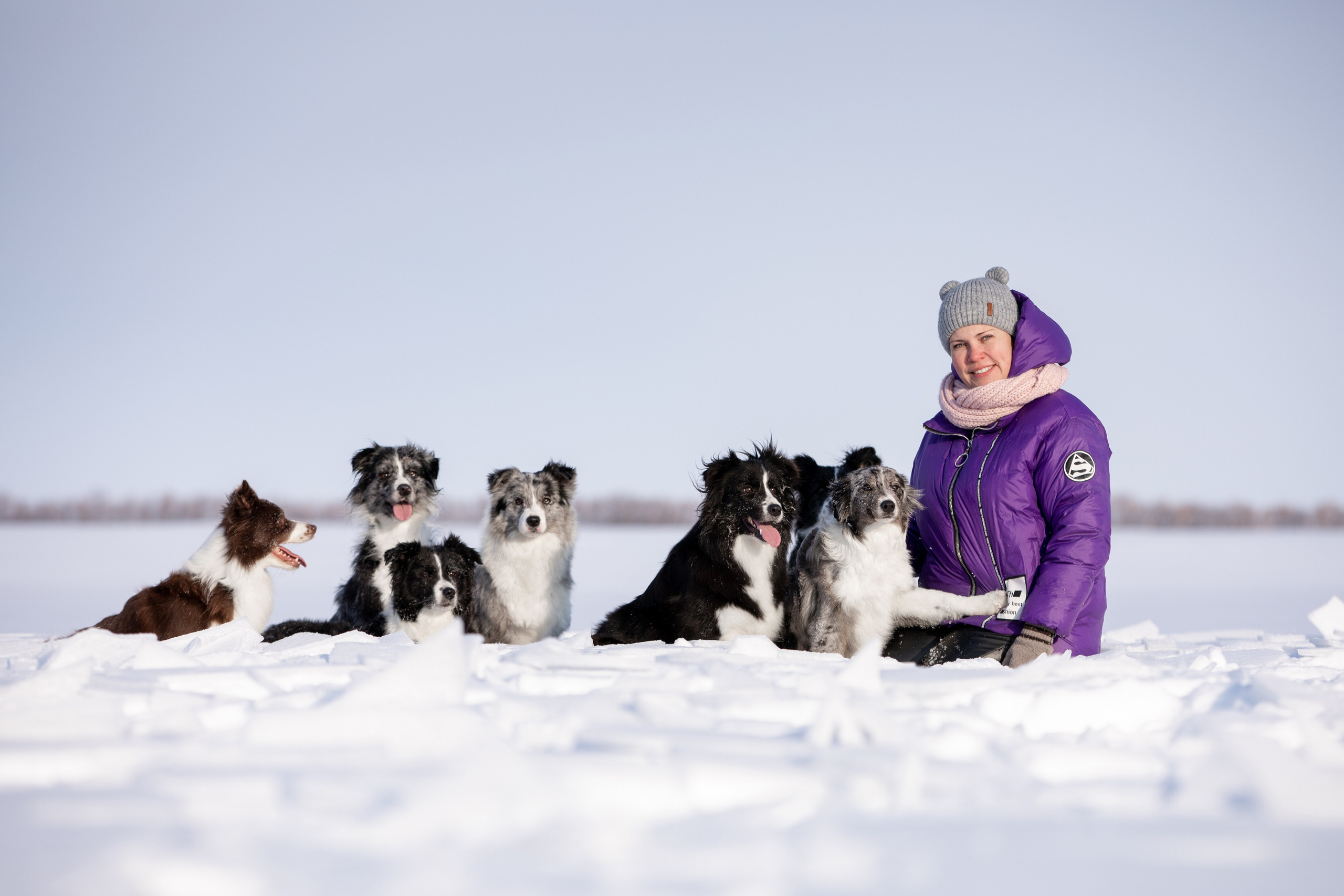Мороз и солнце. О нас