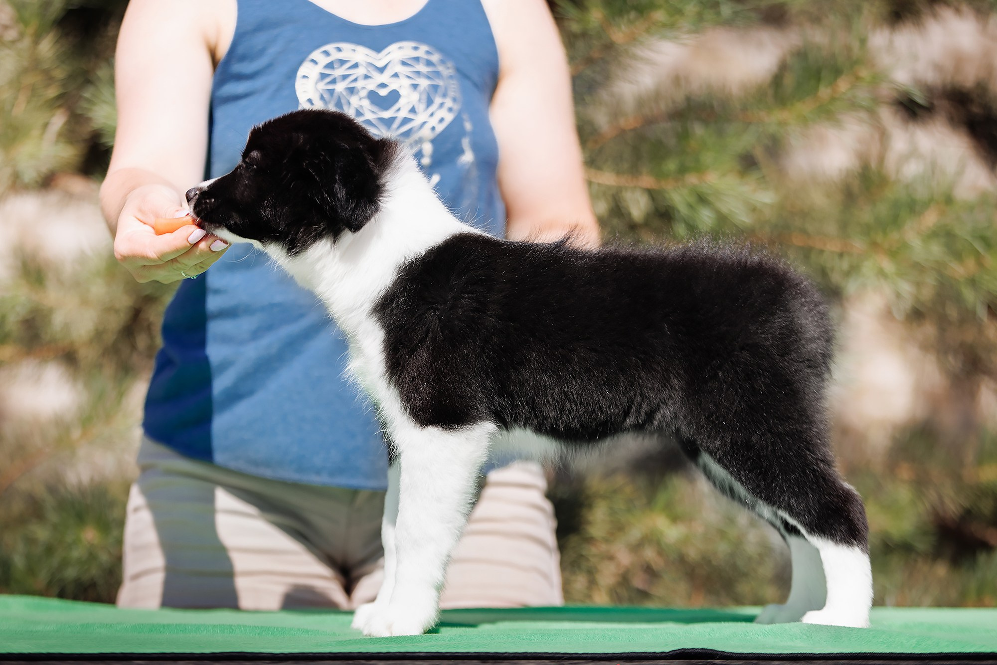 Трава у дома. О нас