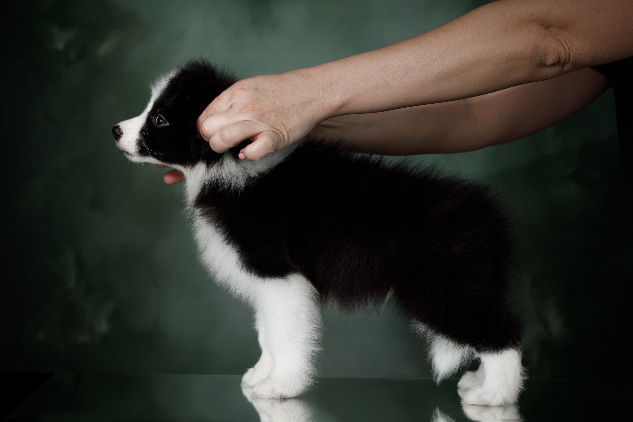 Март. Весна. 22. О нас