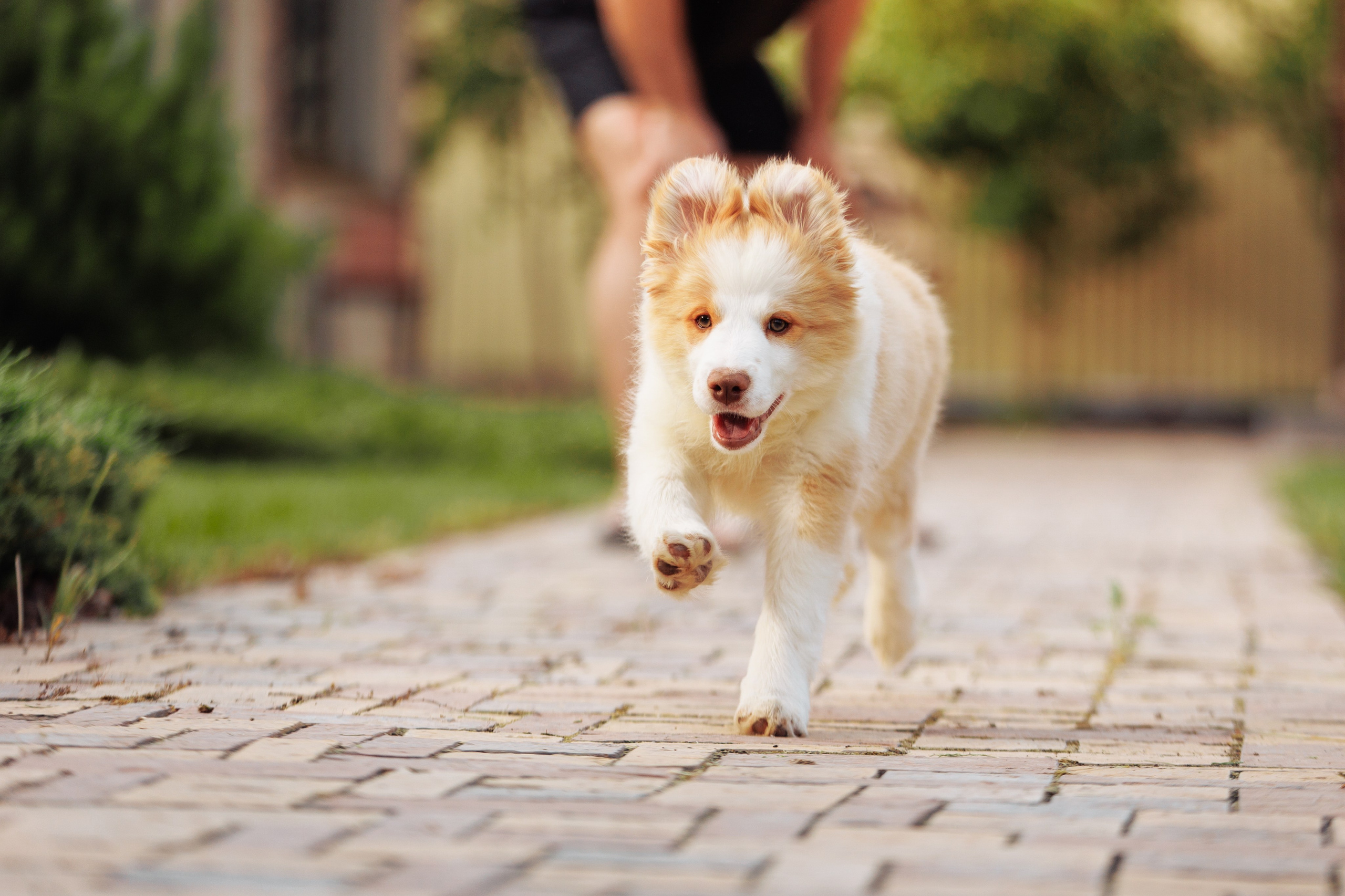 СОлнечные. О нас