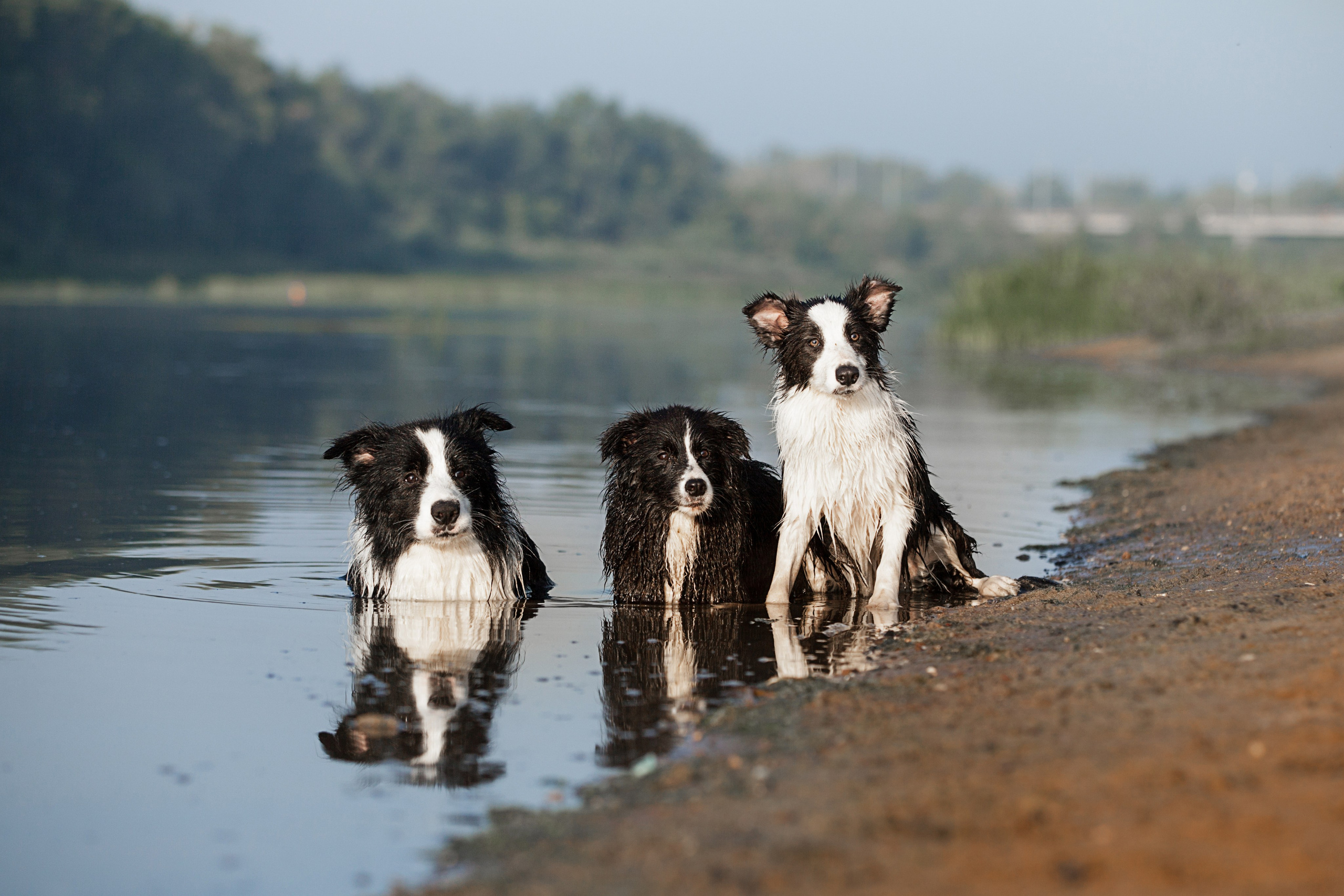 Сочный рассвет, на который решились. О нас