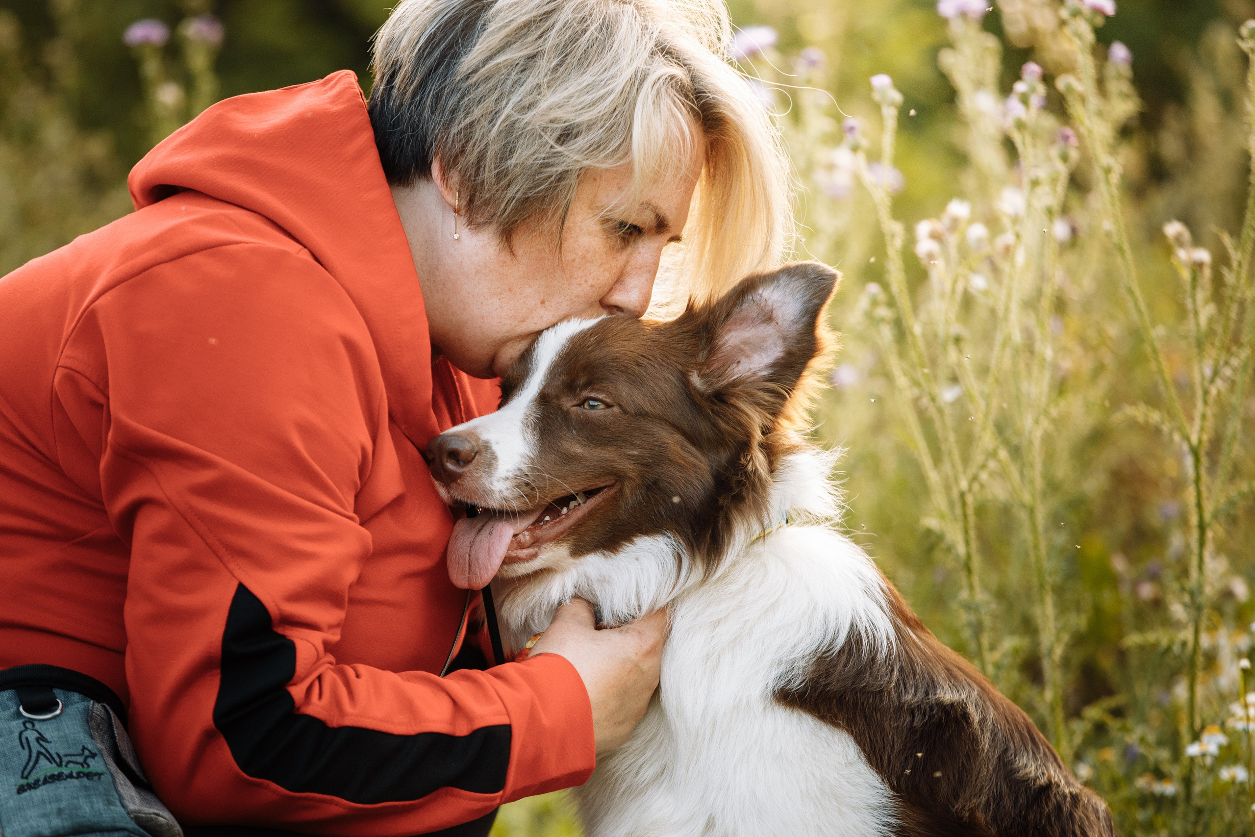 Овечий день. О нас