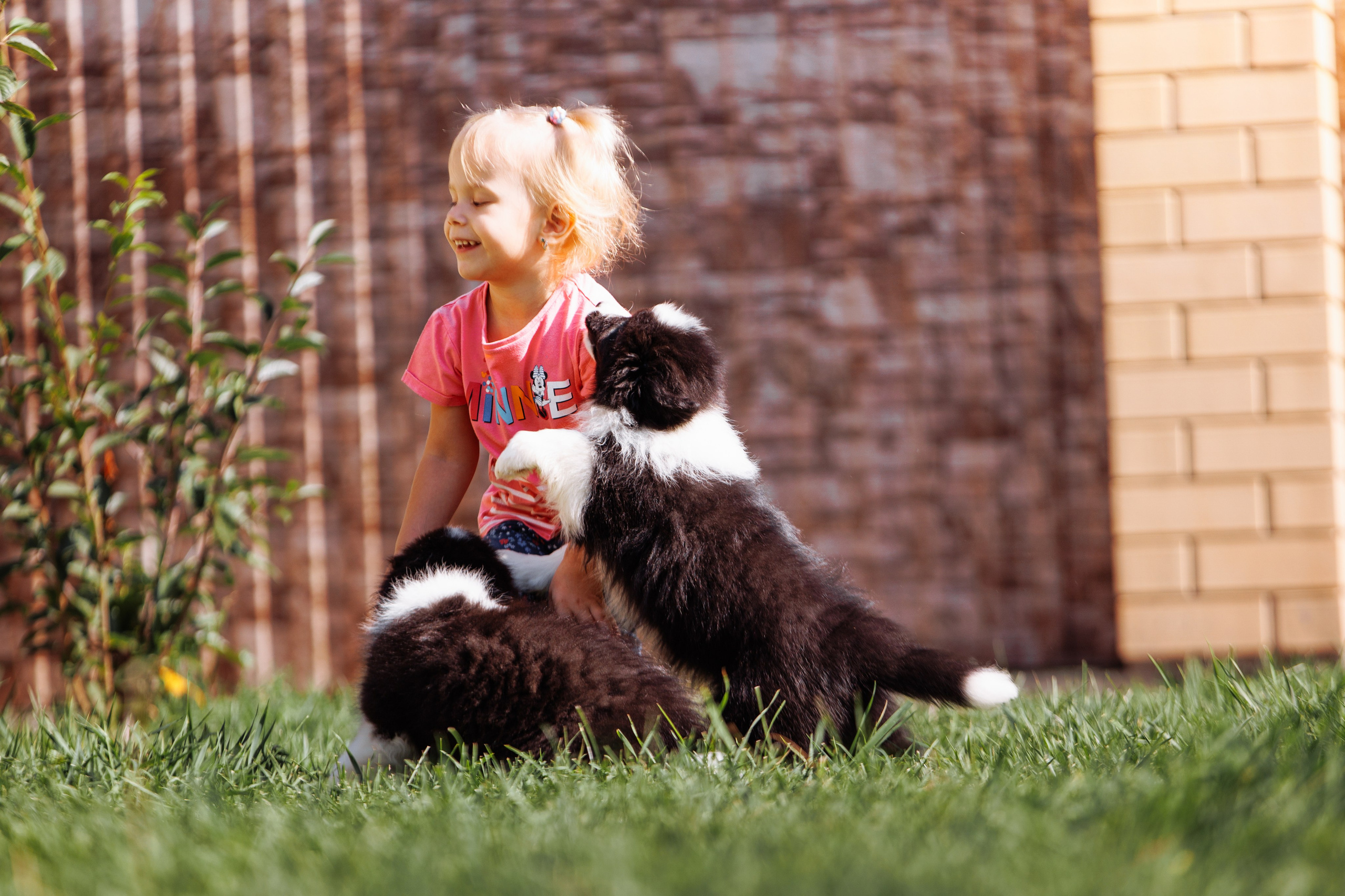 МММ — маленькое мягкое милое. О нас