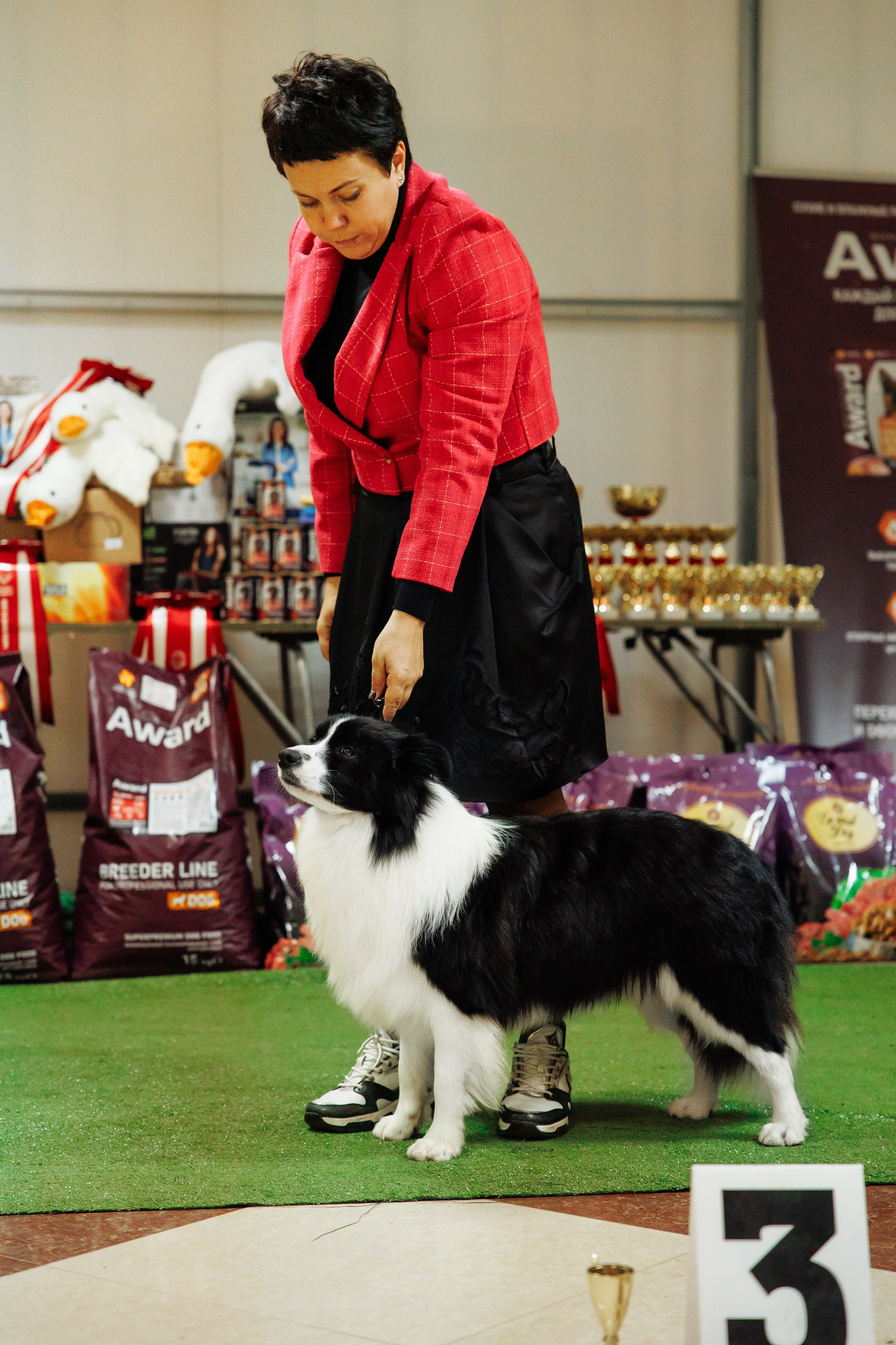 Zenith Mystique Regni — Дени. О нас