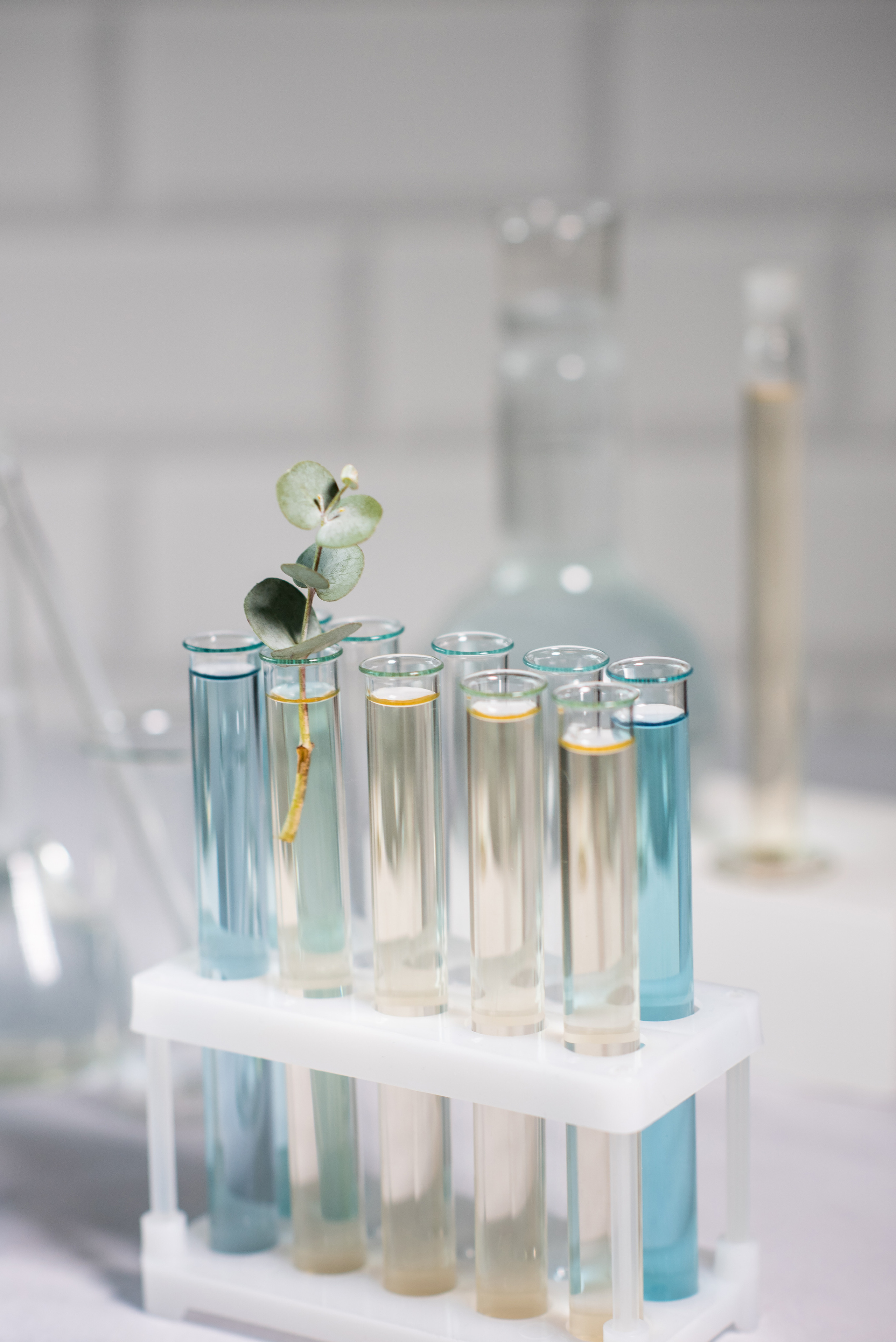 Лекарственные средства и БАД. Семейный и Свадебный фотограф. Санкт-Петербург. Пушкин