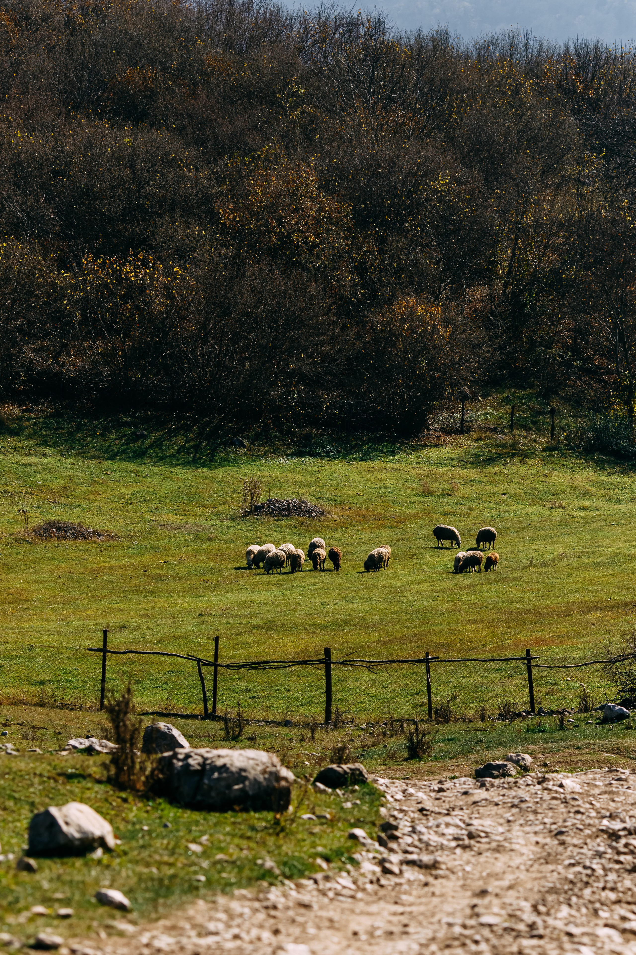 Армения. Фотосъемка, свадебная фотосъемка, Москва, Нижний Новгород