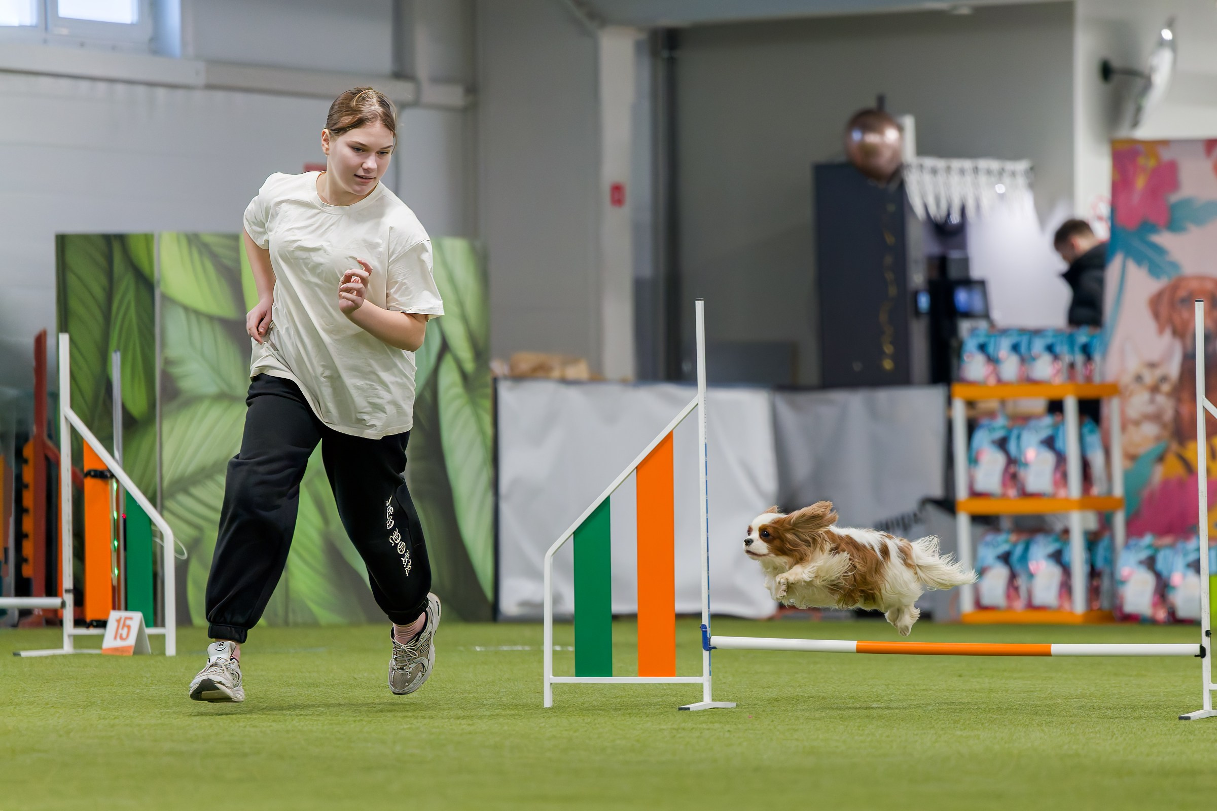 День рождения Пёсбурга — февраль 2025. Irenephoto.ru