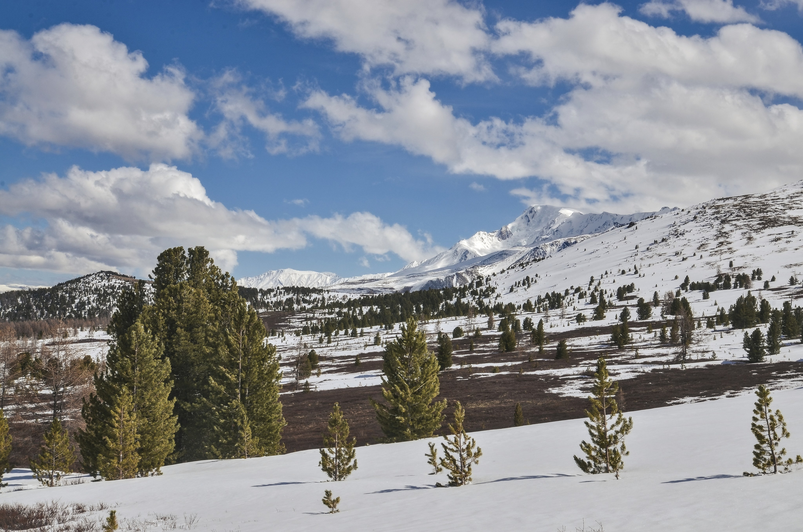 Алтай, Северо Чуйский хребет, курайская степь