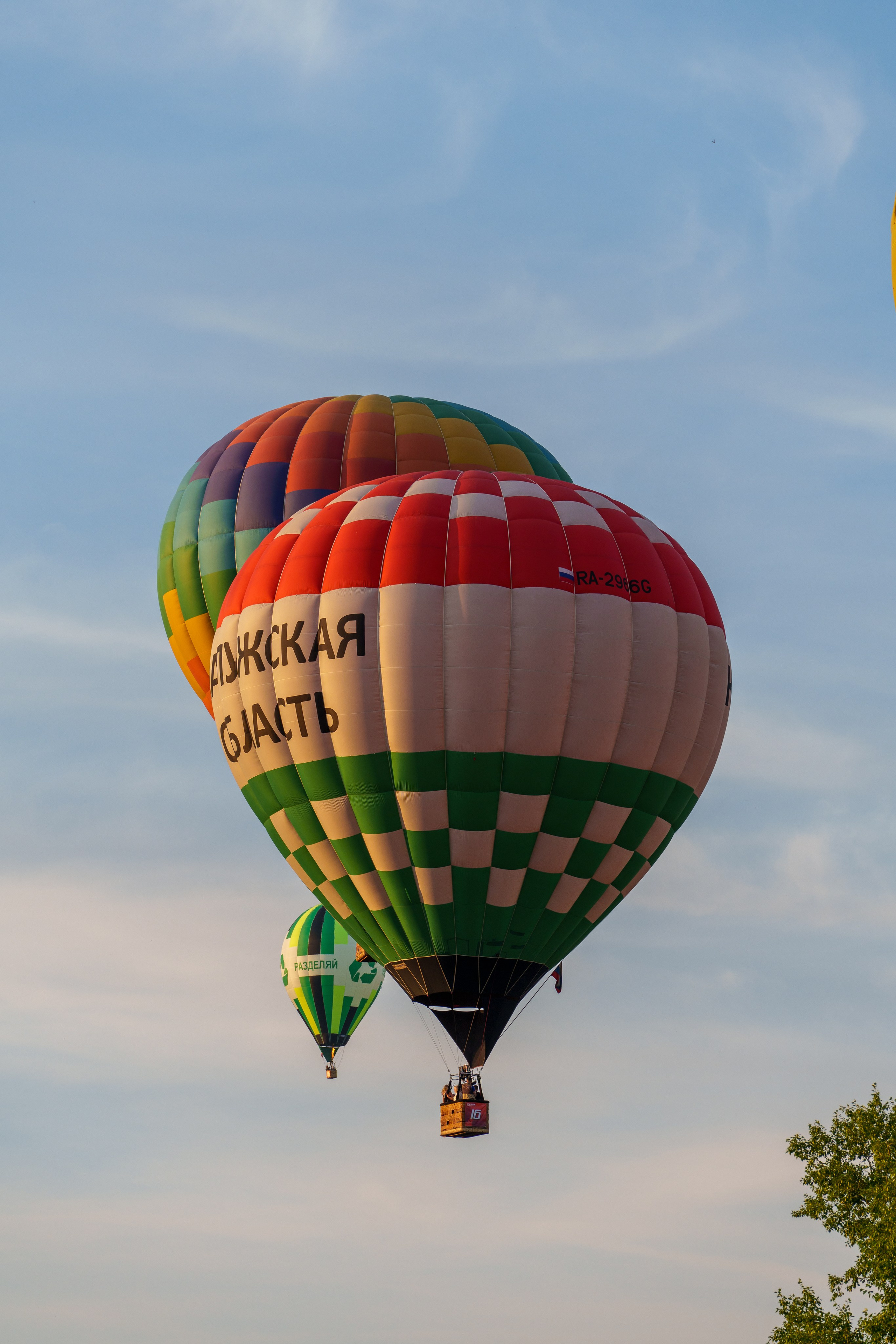 Фиеста Аэростатов. Sunnyman