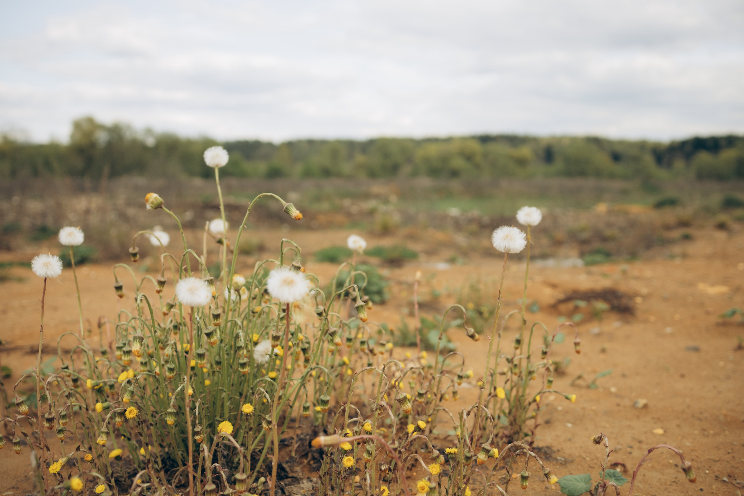 Istra. Женский фотограф Истра