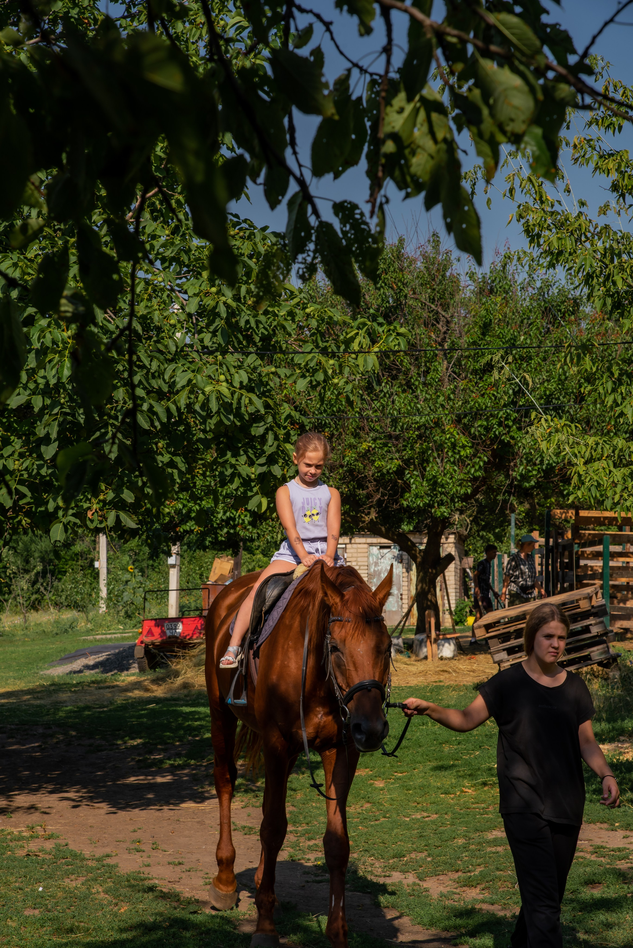 Конная прогулка. Фотограф Галина Нестерова