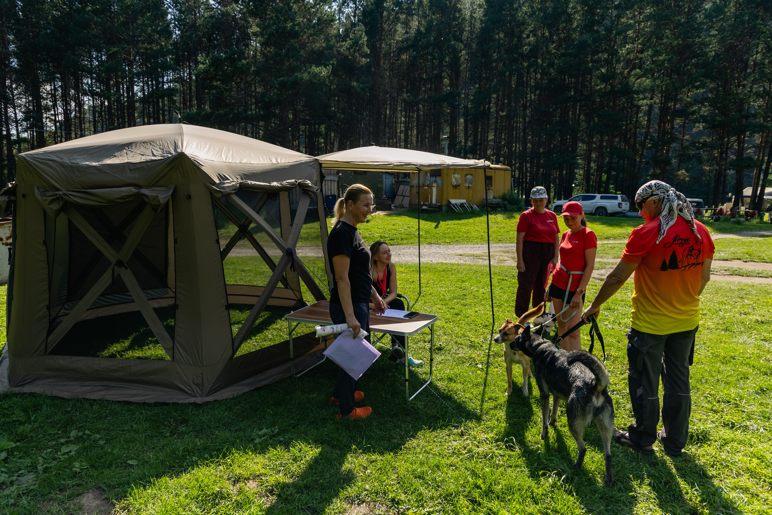 VI ОТКРЫТЫЕ КИНОЛОГИЧЕСКИЕ СОРЕВНОВАНИЯ. ЧЕЛЯБИНСКАЯ ОБЛАСТЬ 2025. Репортажный фотограф Наталья Лапцевич