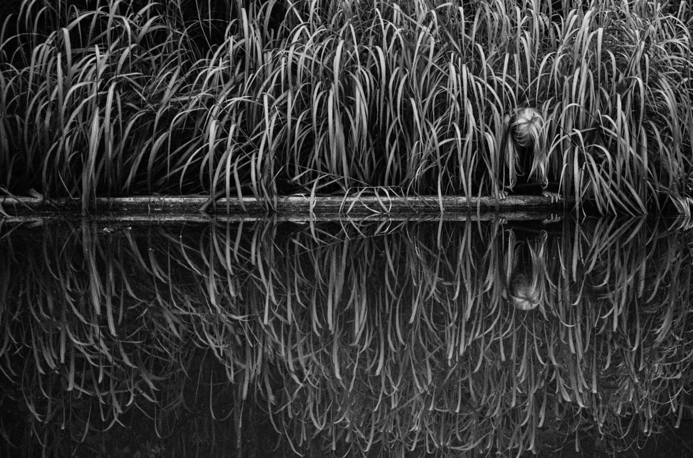 Вероника Трубникова — фотохудожница / Veronika Trubnikova — photoartist