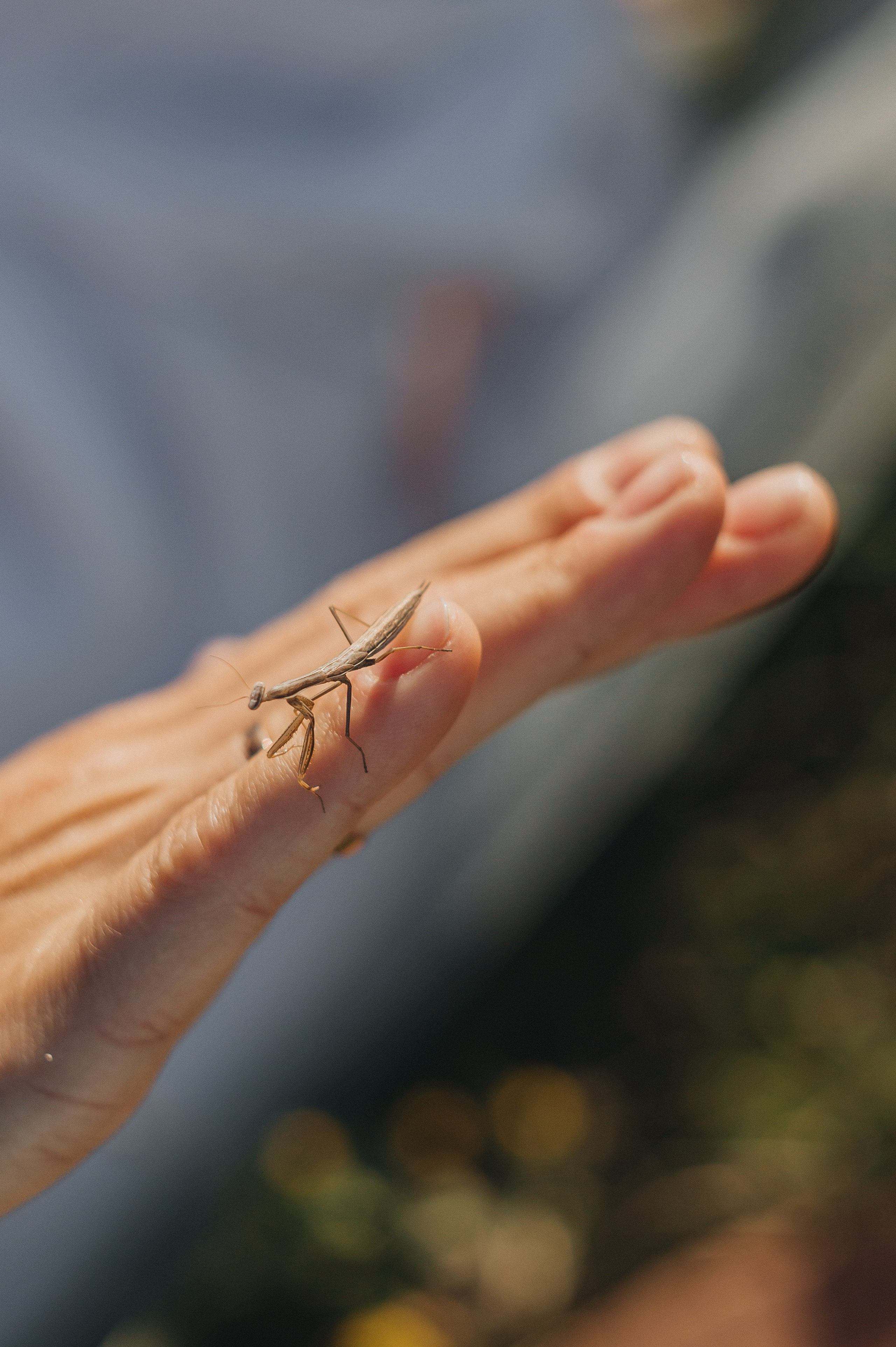 Людмила. Фотограф Людмила Белова