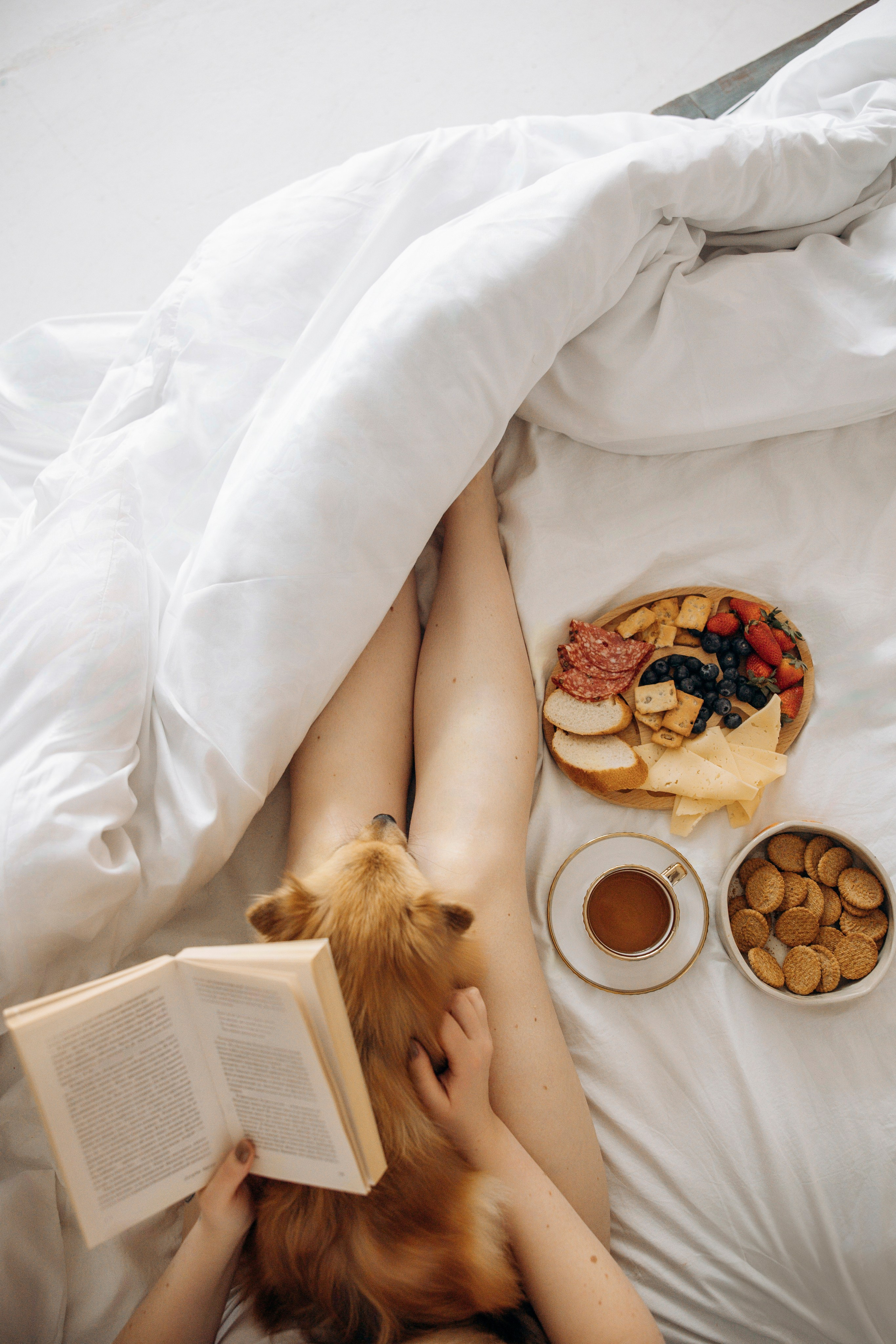 Съемка в студии с собакой. Анастасия Белаш