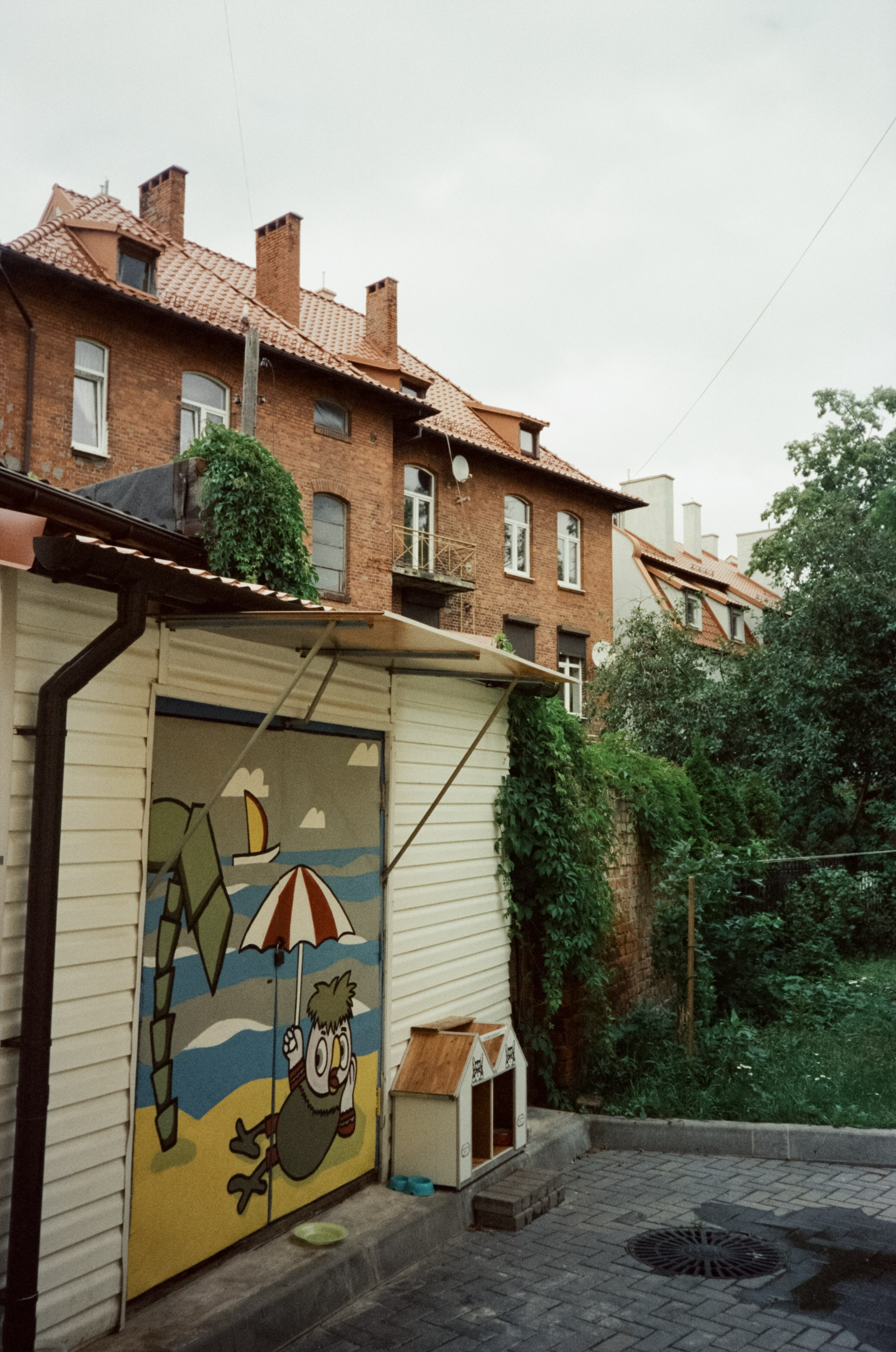 День в Зеленоградске. Суровая Балтика и пряничный кото-городок. Фотограф-документалист Мария Осокина