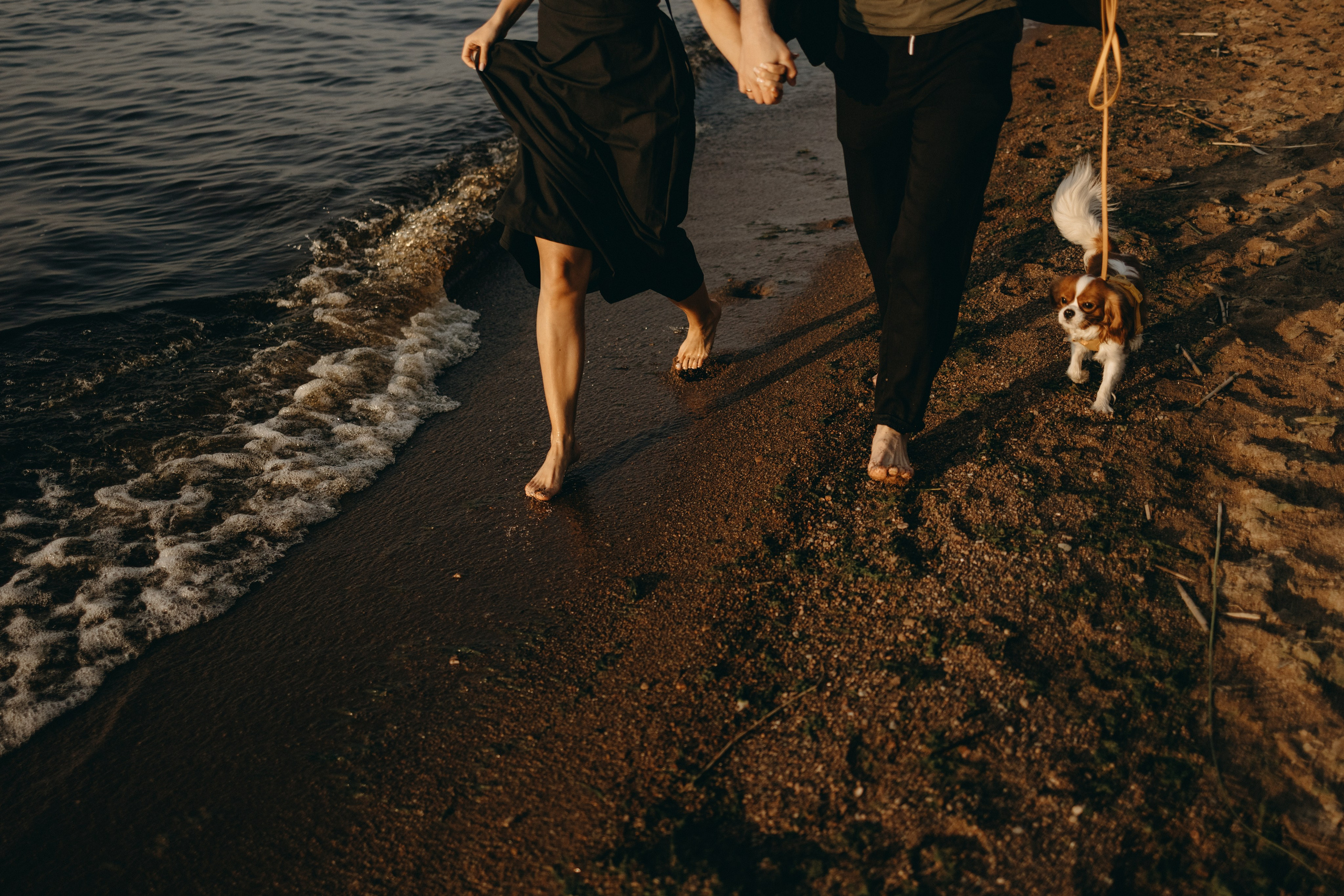 Лу и его семья. Фотограф — Анималист | Санкт-Петербург