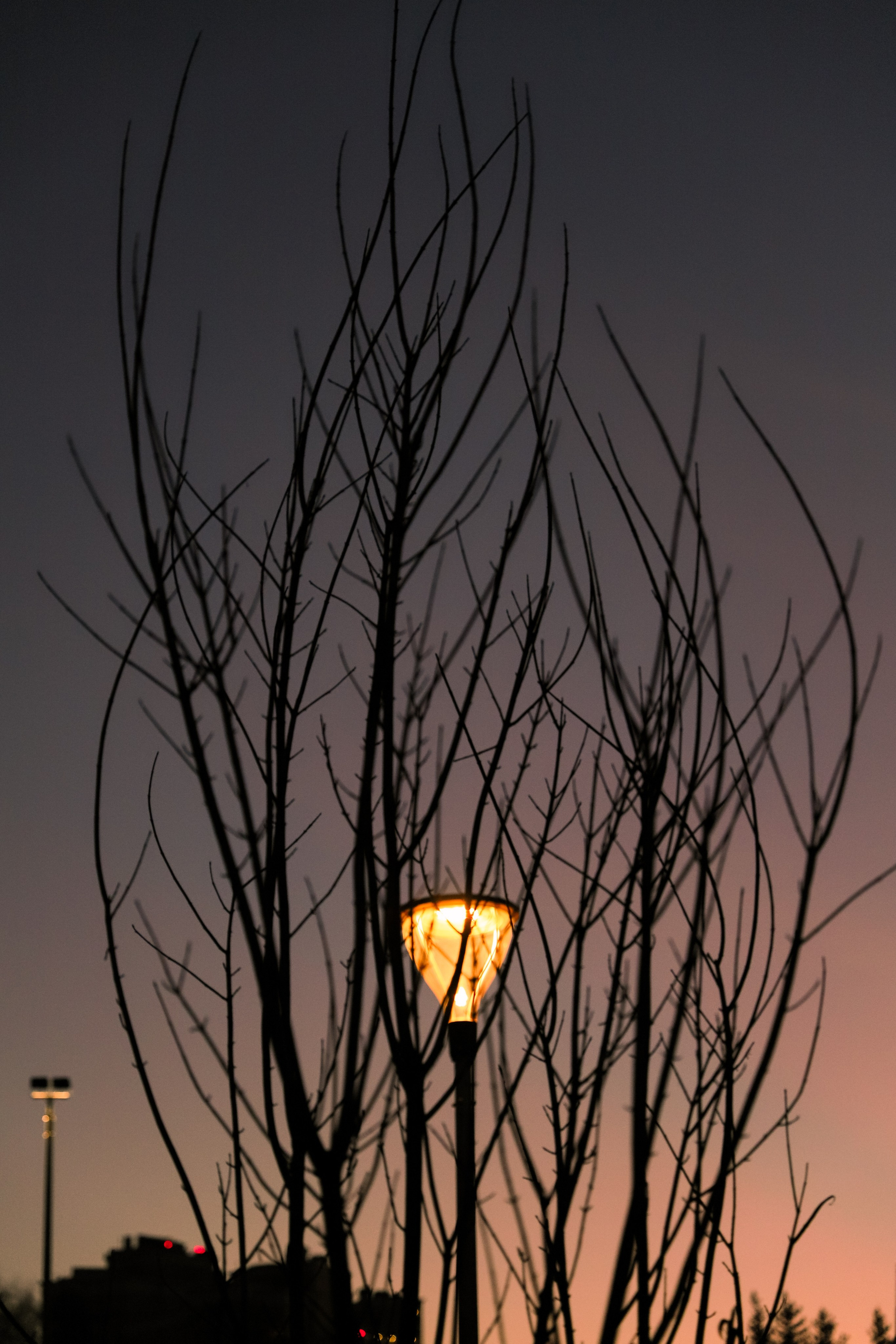 /все что вокруг. Kristina Rashkovskaya