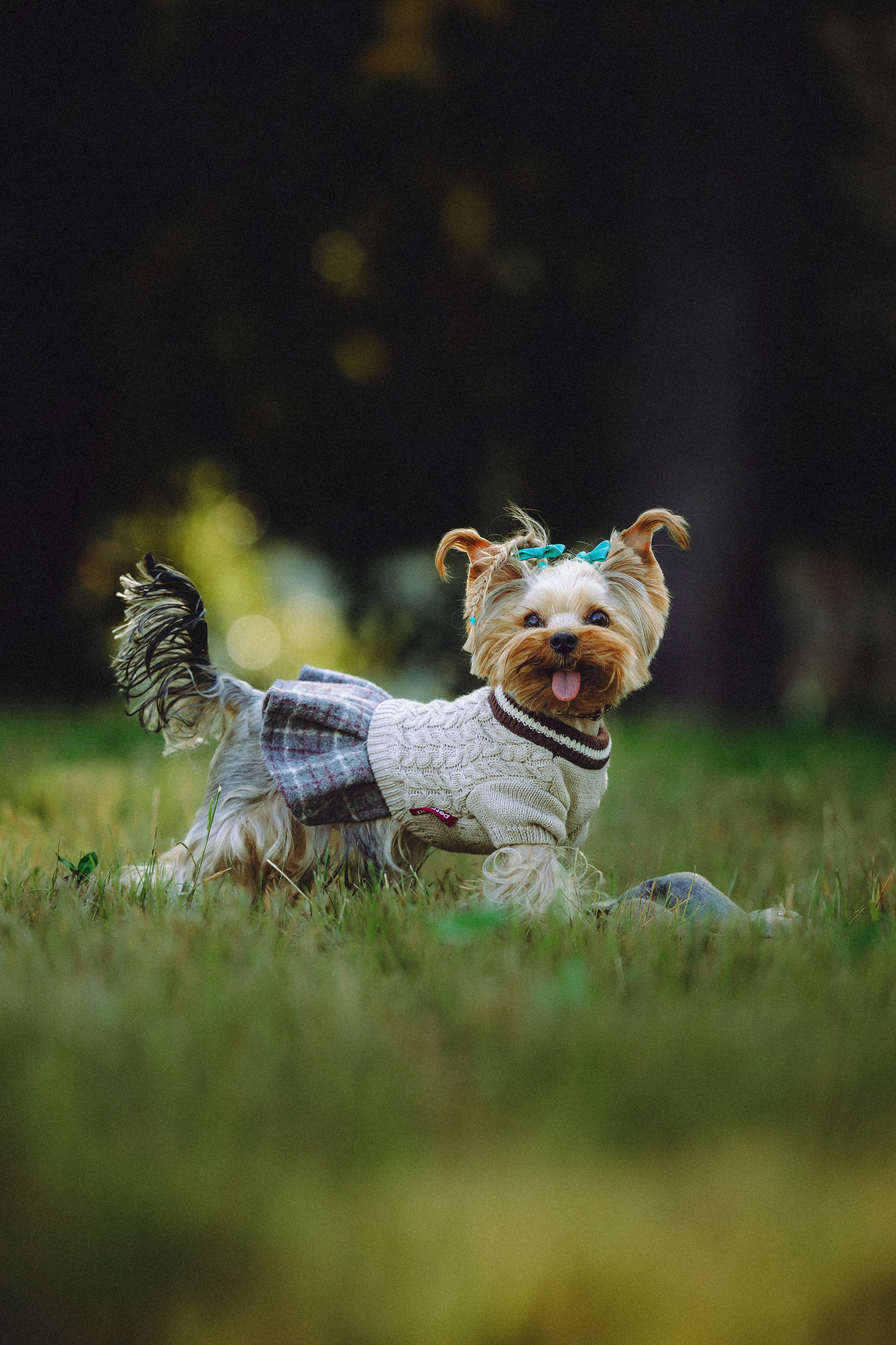 Дженни, Оливия и их семья